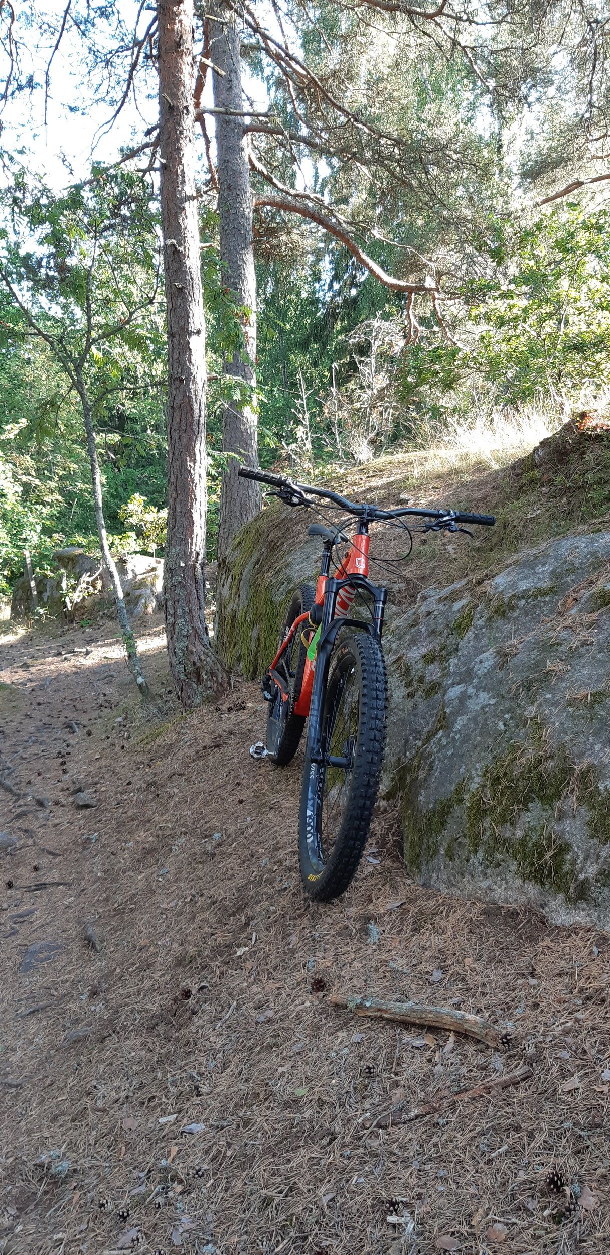 20220801_175821.jpg