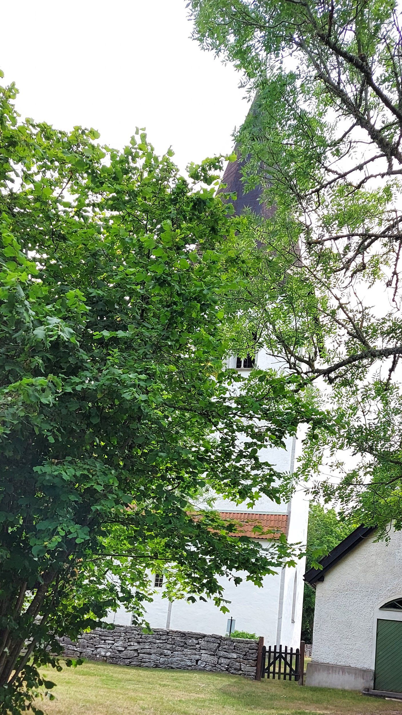 20220802_145241.jpg