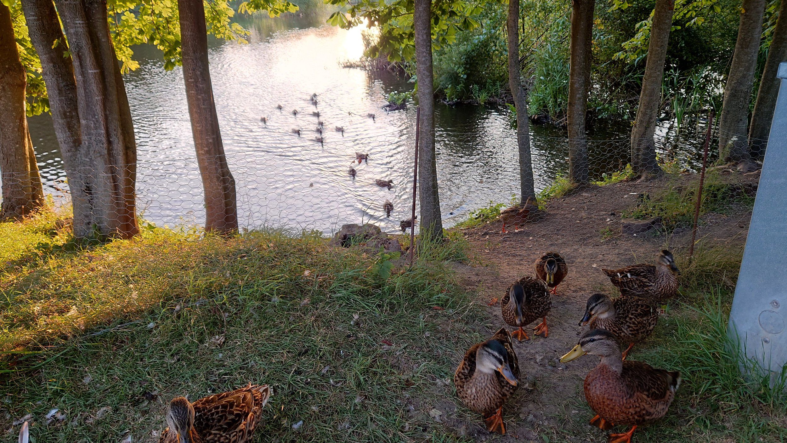 20220803_202816.JPG