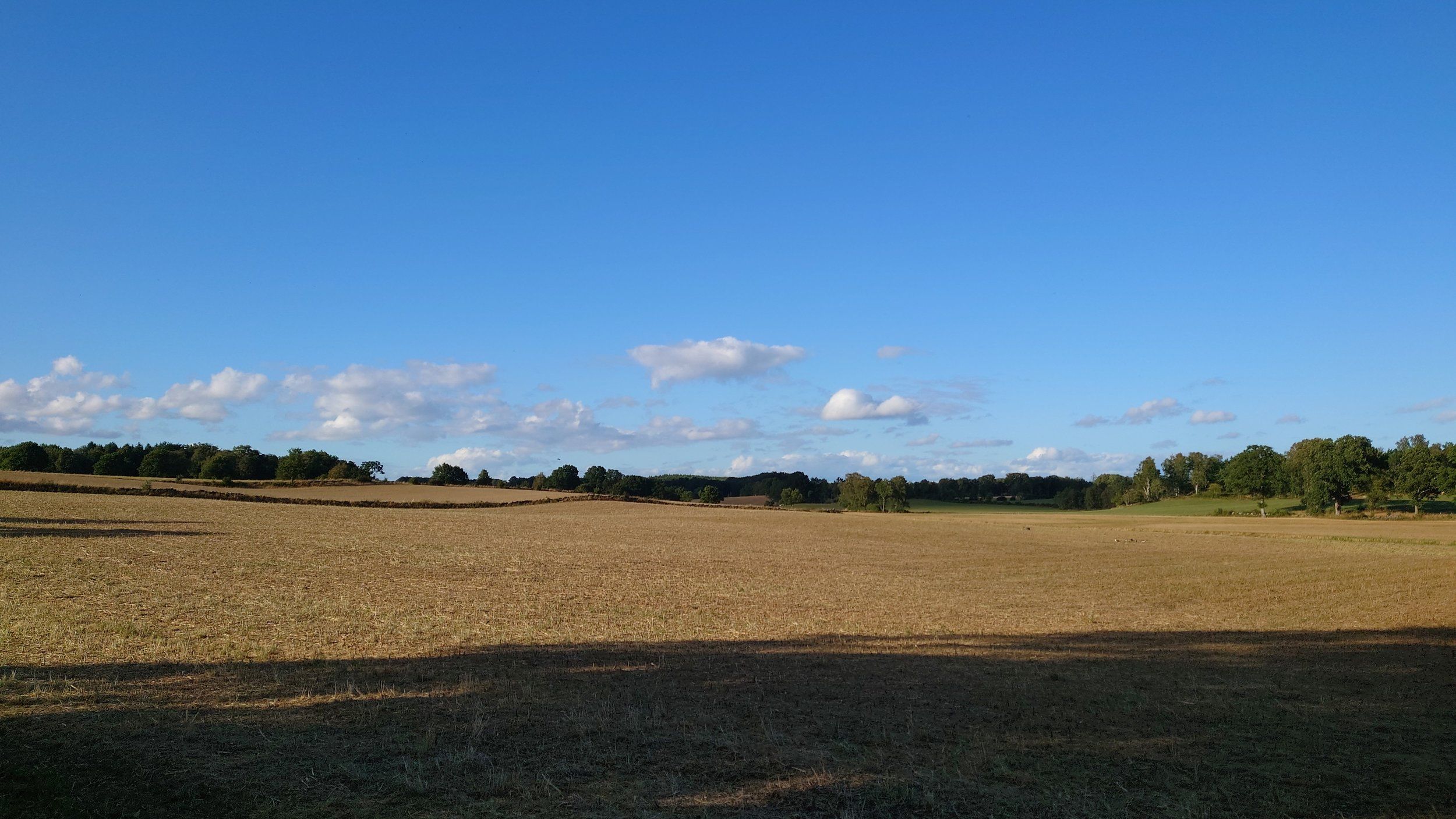 20220806_183834.JPG