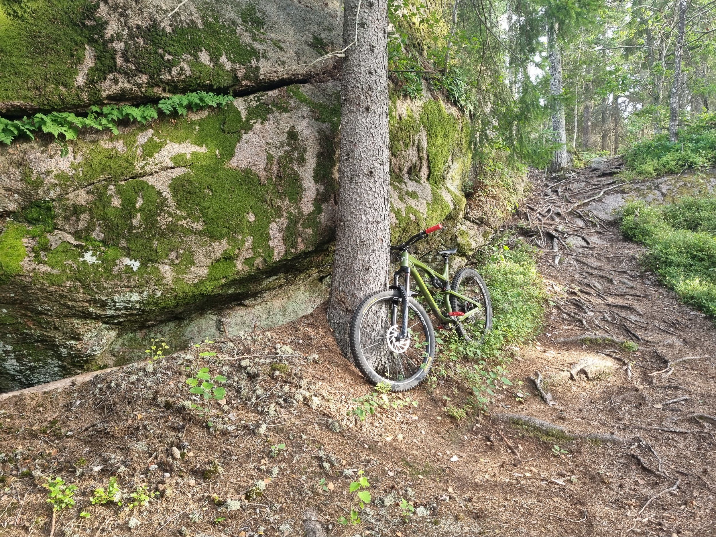 20220810_072835.jpg