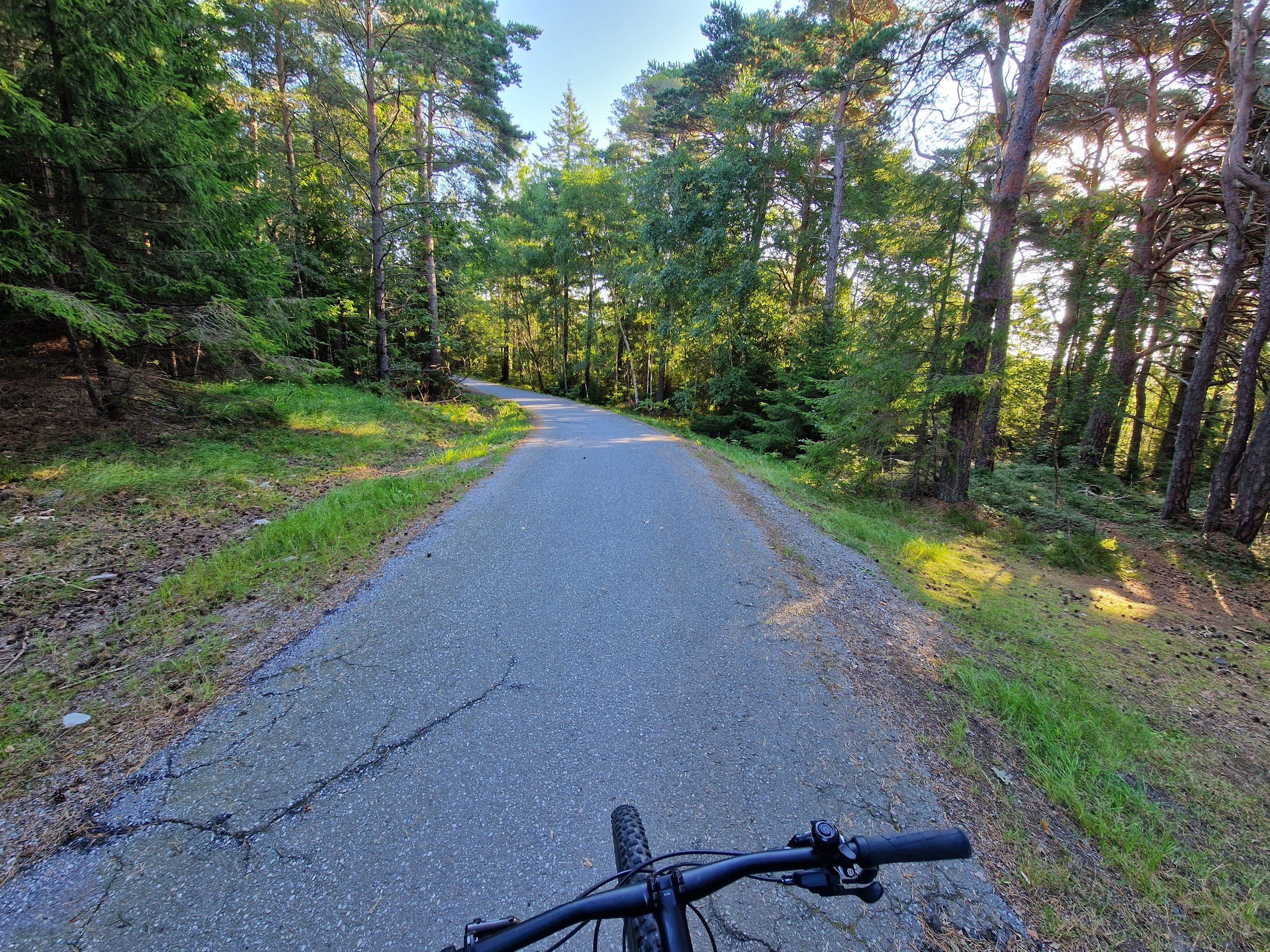 20220812_072622.jpg