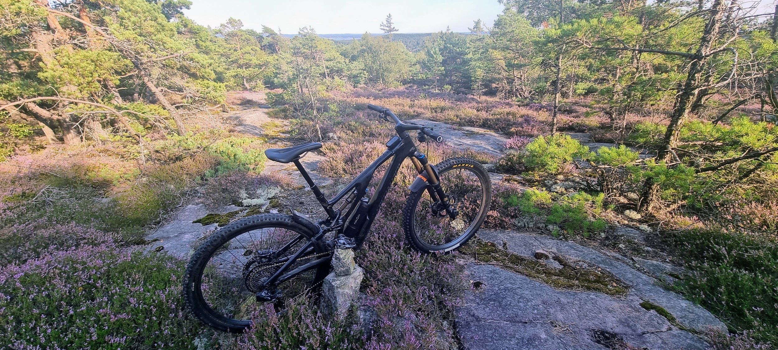 20220814_175319.jpg