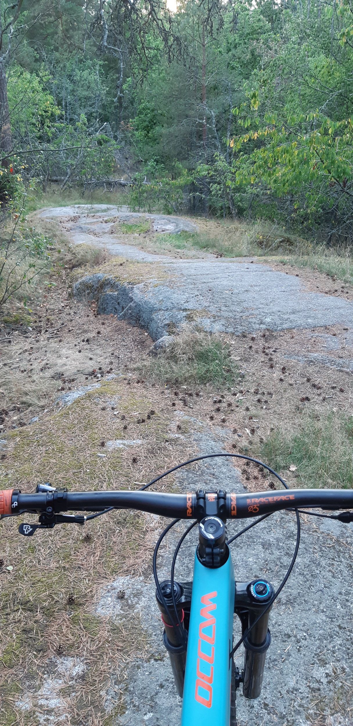 20220817_194747.jpg