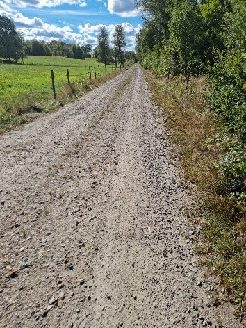 20220905_071431.jpg