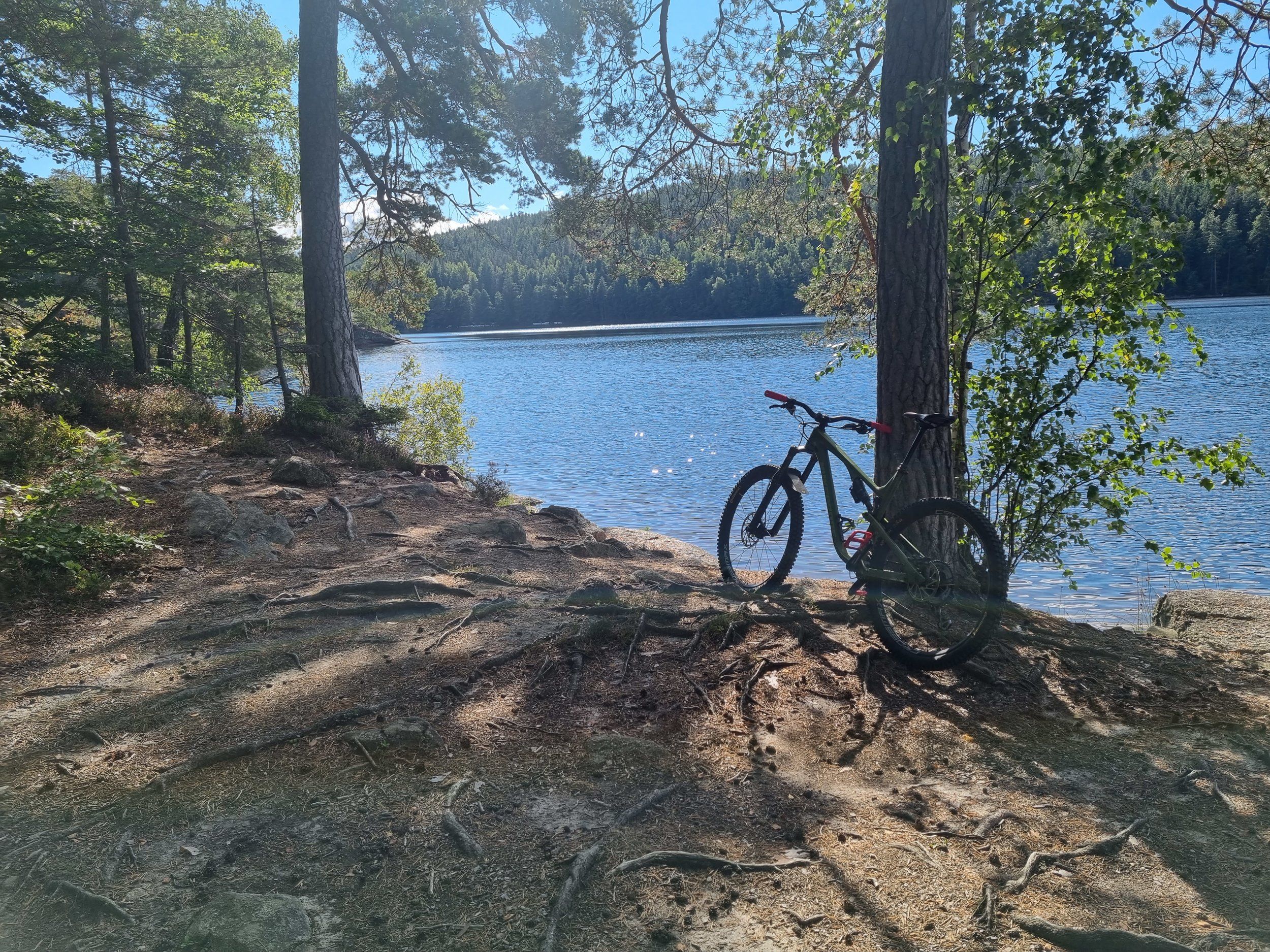 20220907_121534.jpg