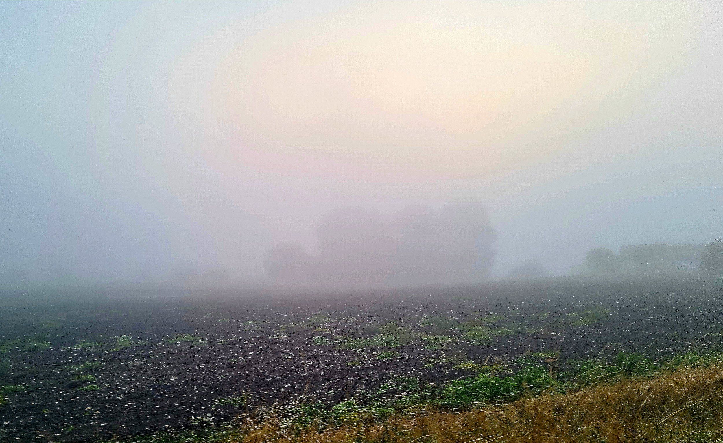 20220912_070100.jpg