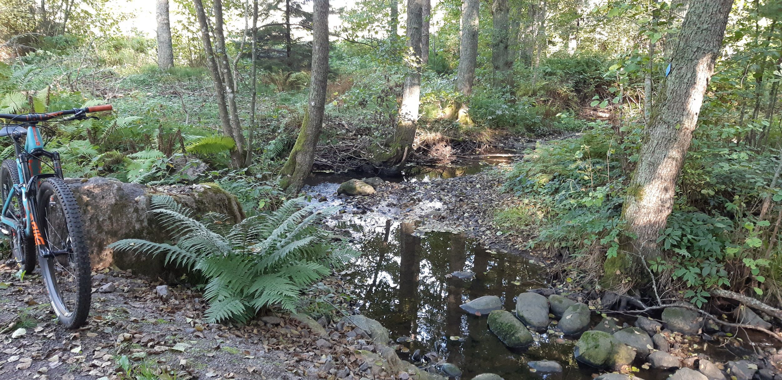20220925_141520.jpg