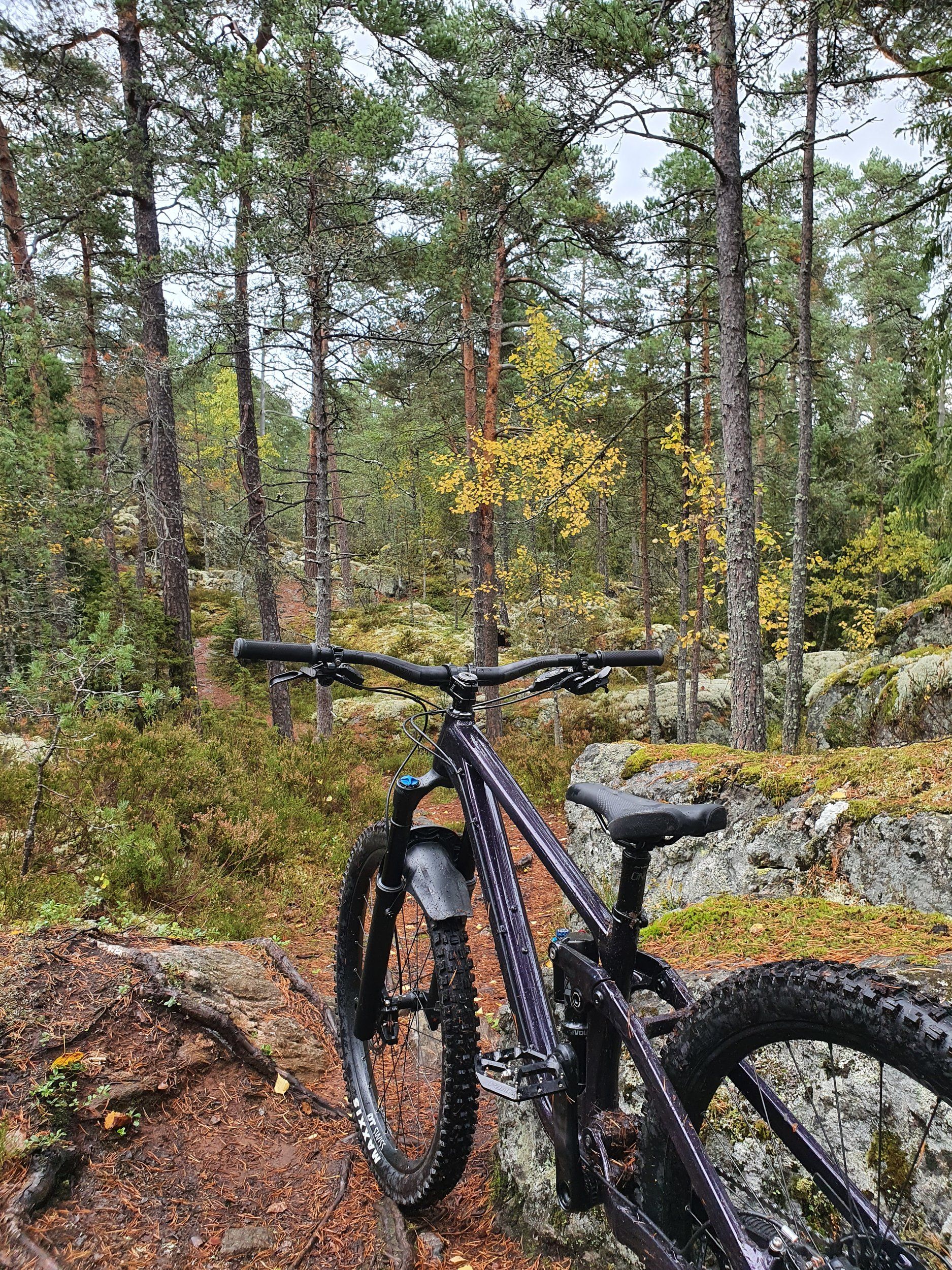 20220929_093219.jpg