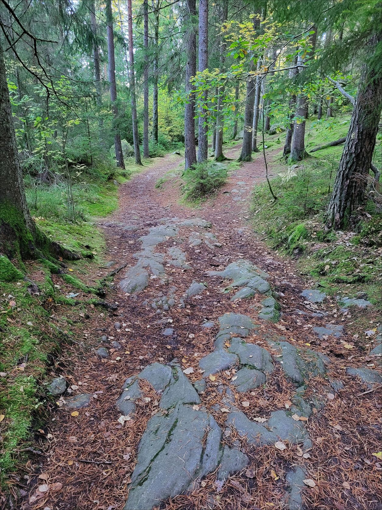 20221003_174652.jpg