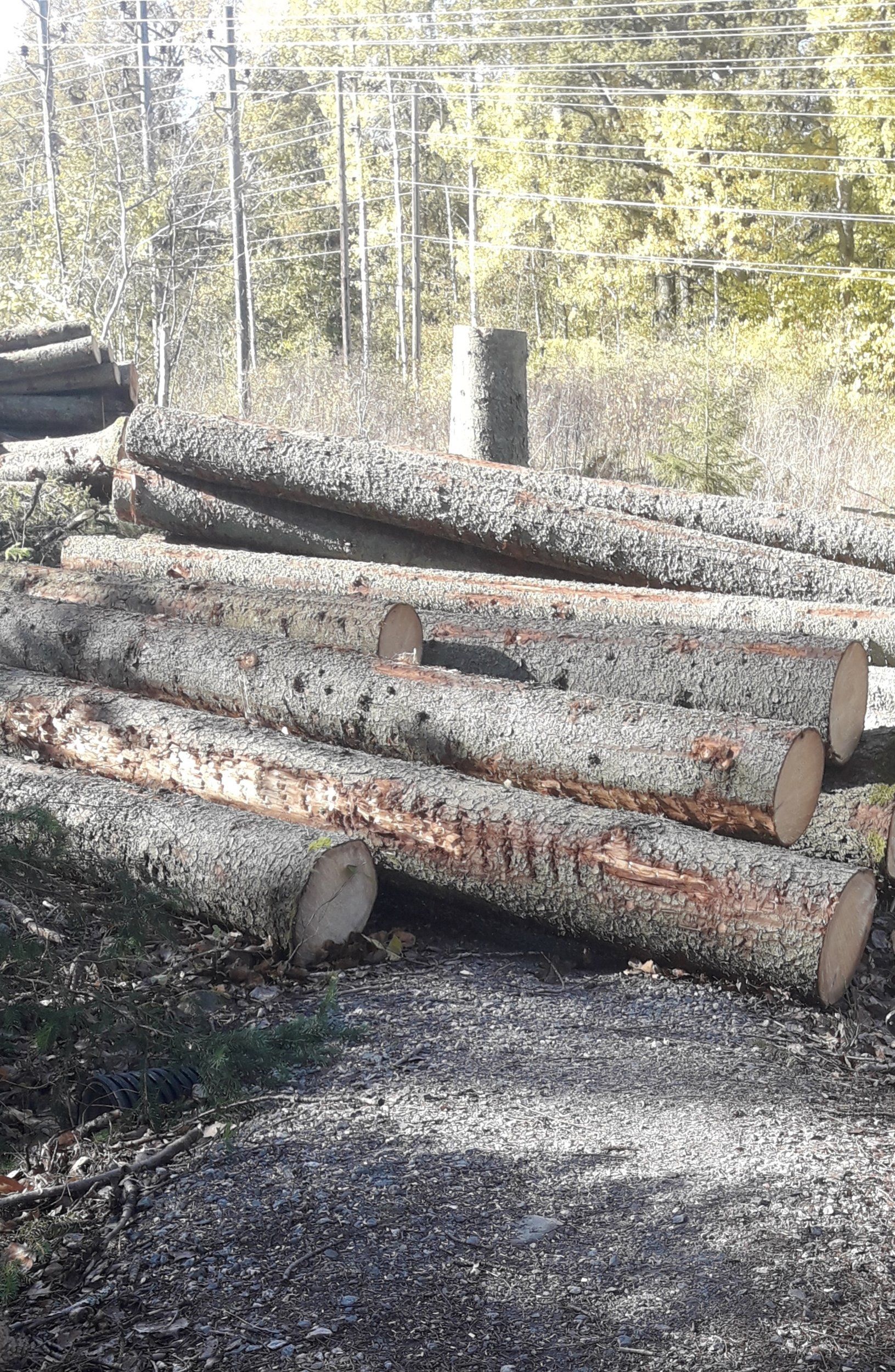 20221009_220333.jpg
