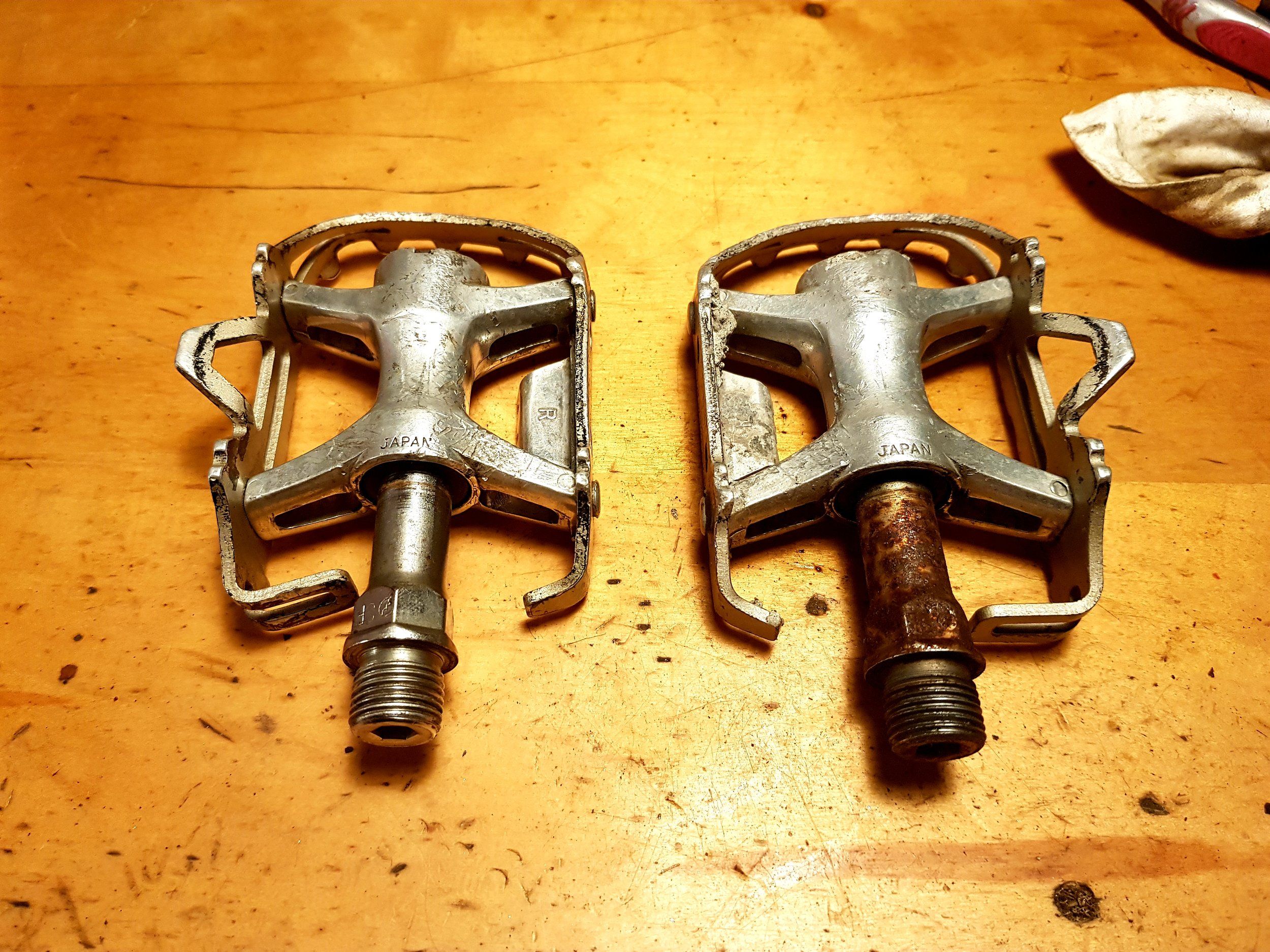 20221011_201253.jpg