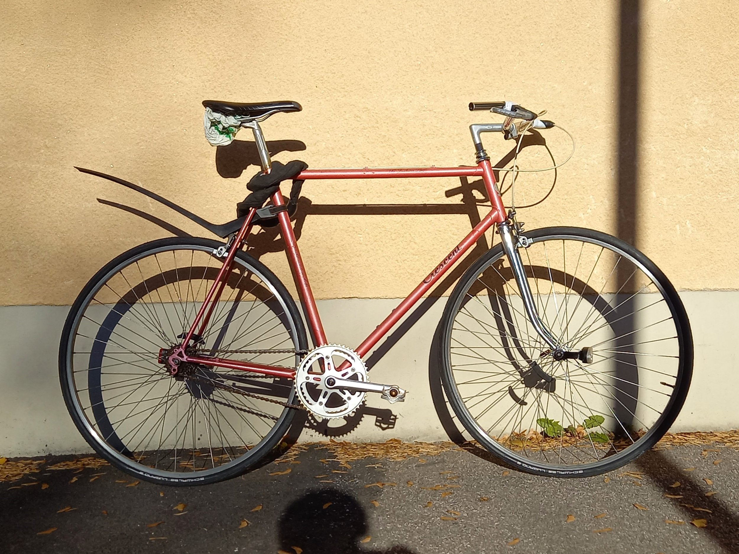 20221012_102408.jpg