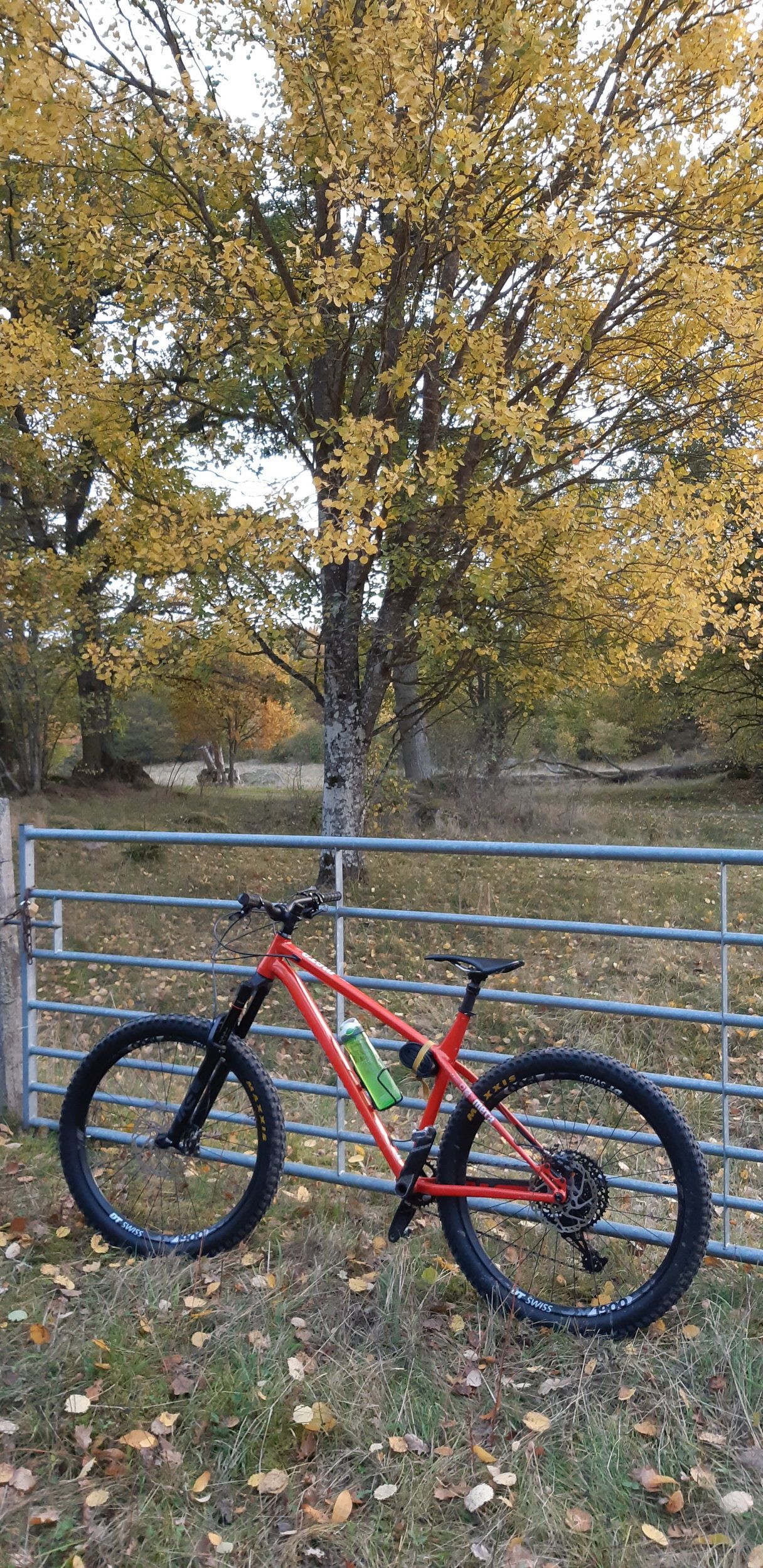 20221013_174127.jpg