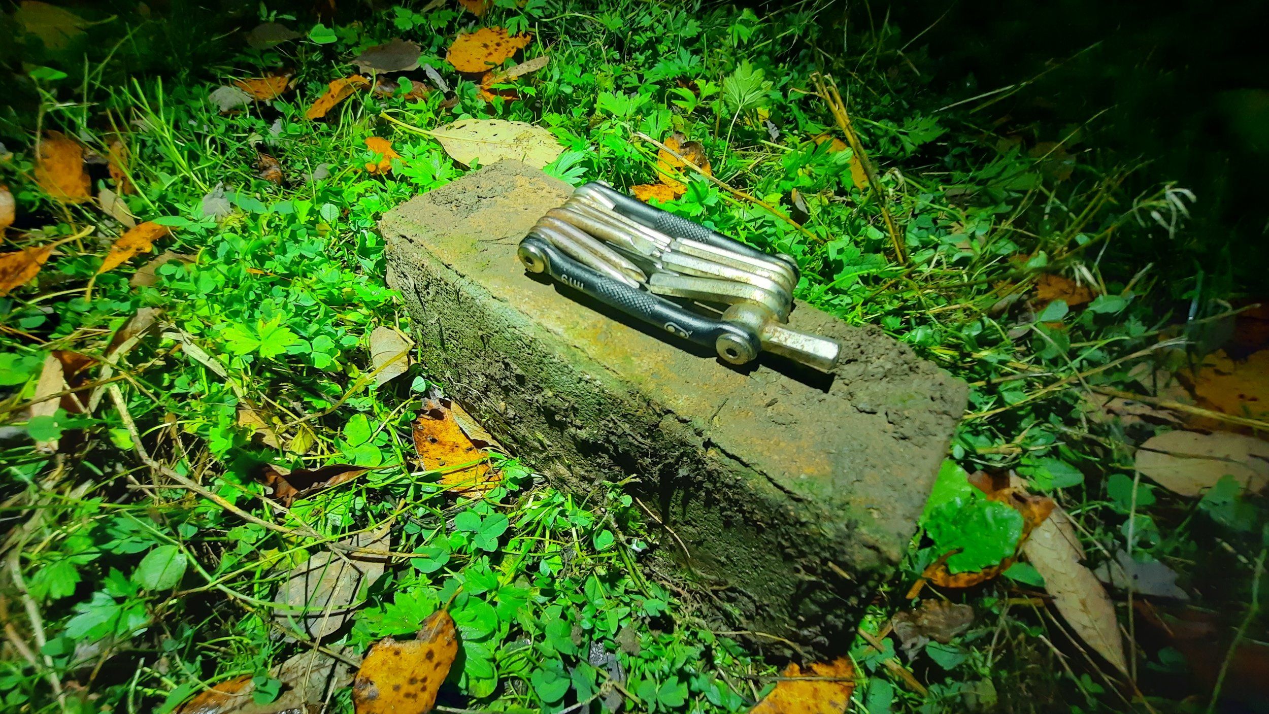20221027_181132.jpg