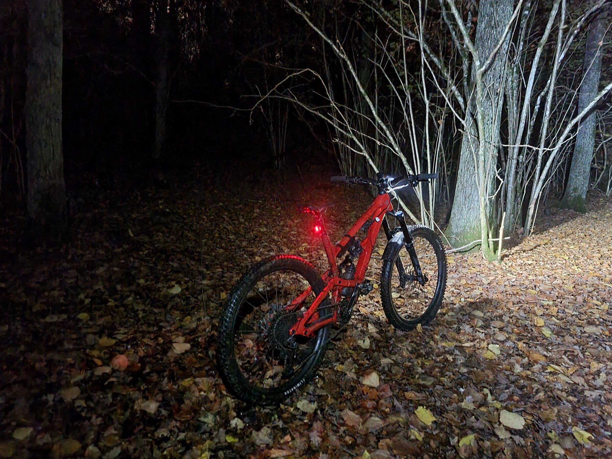 20221027_191738.jpg
