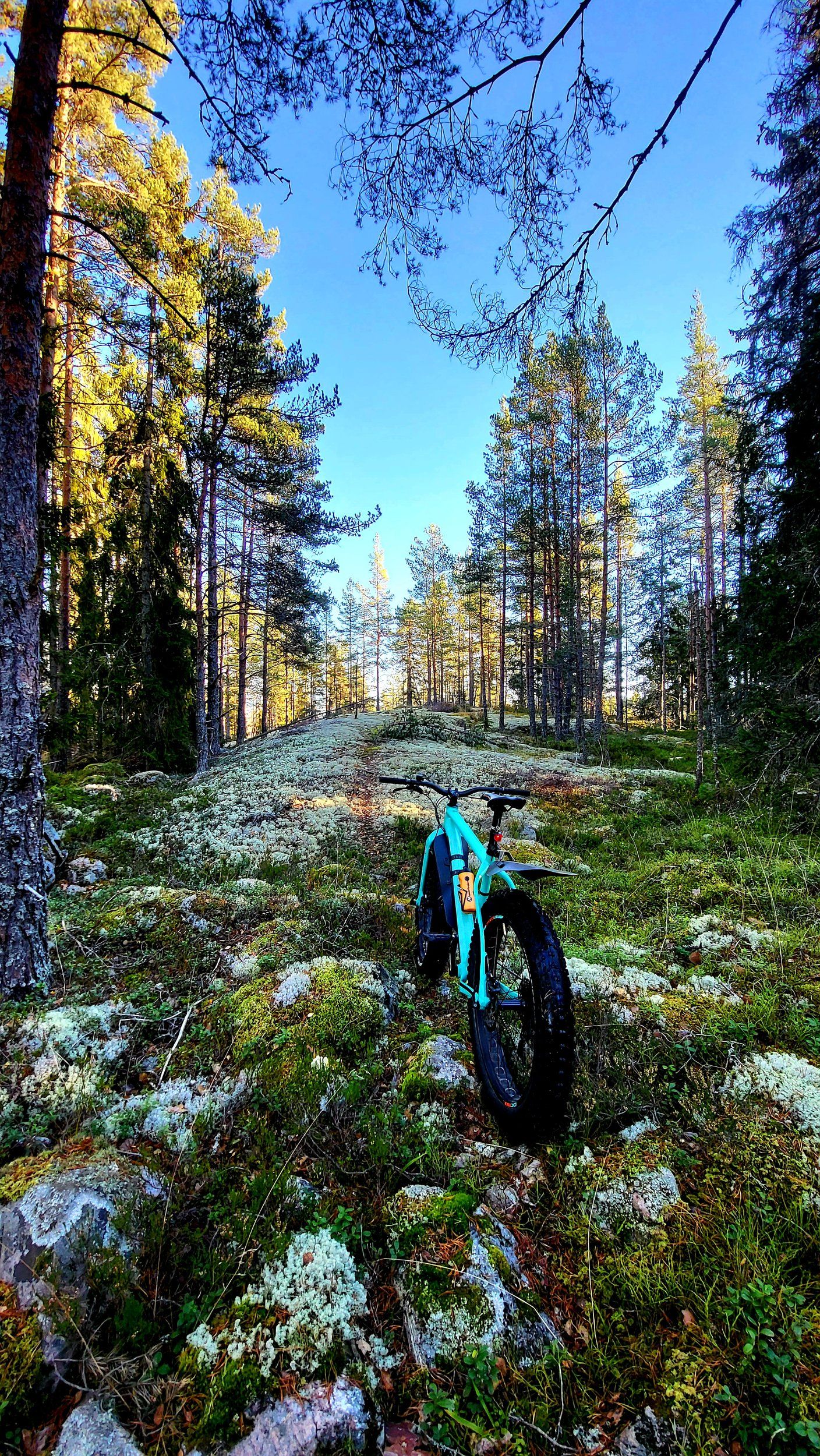 20221030_163230.jpg