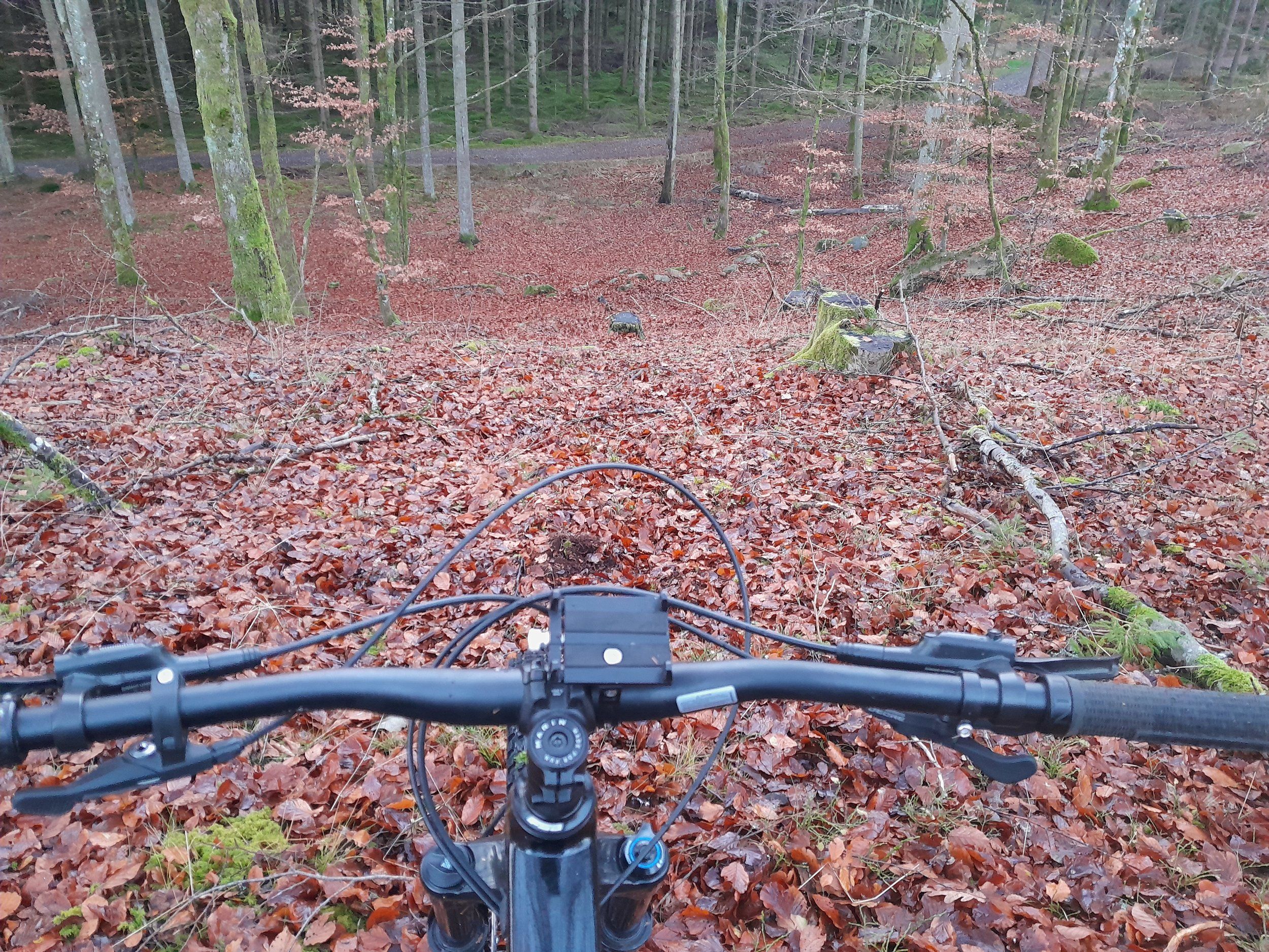 20221105_160137.jpg
