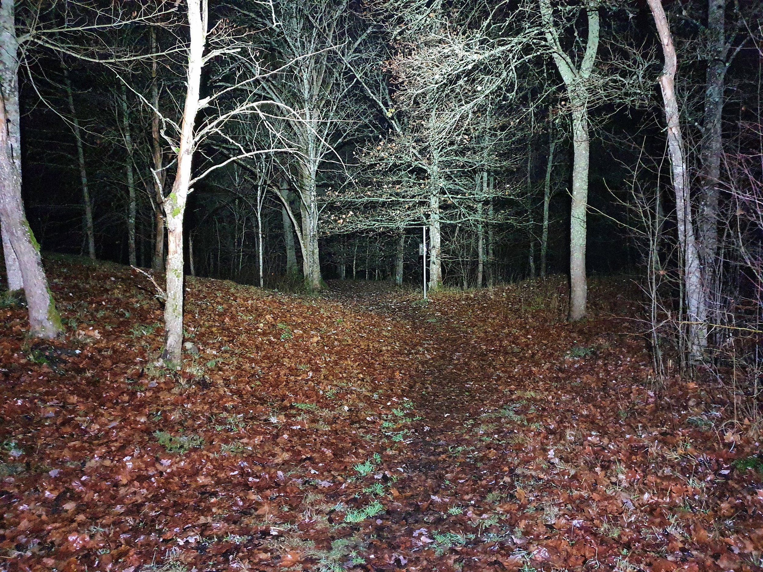 20221106_215217.jpg