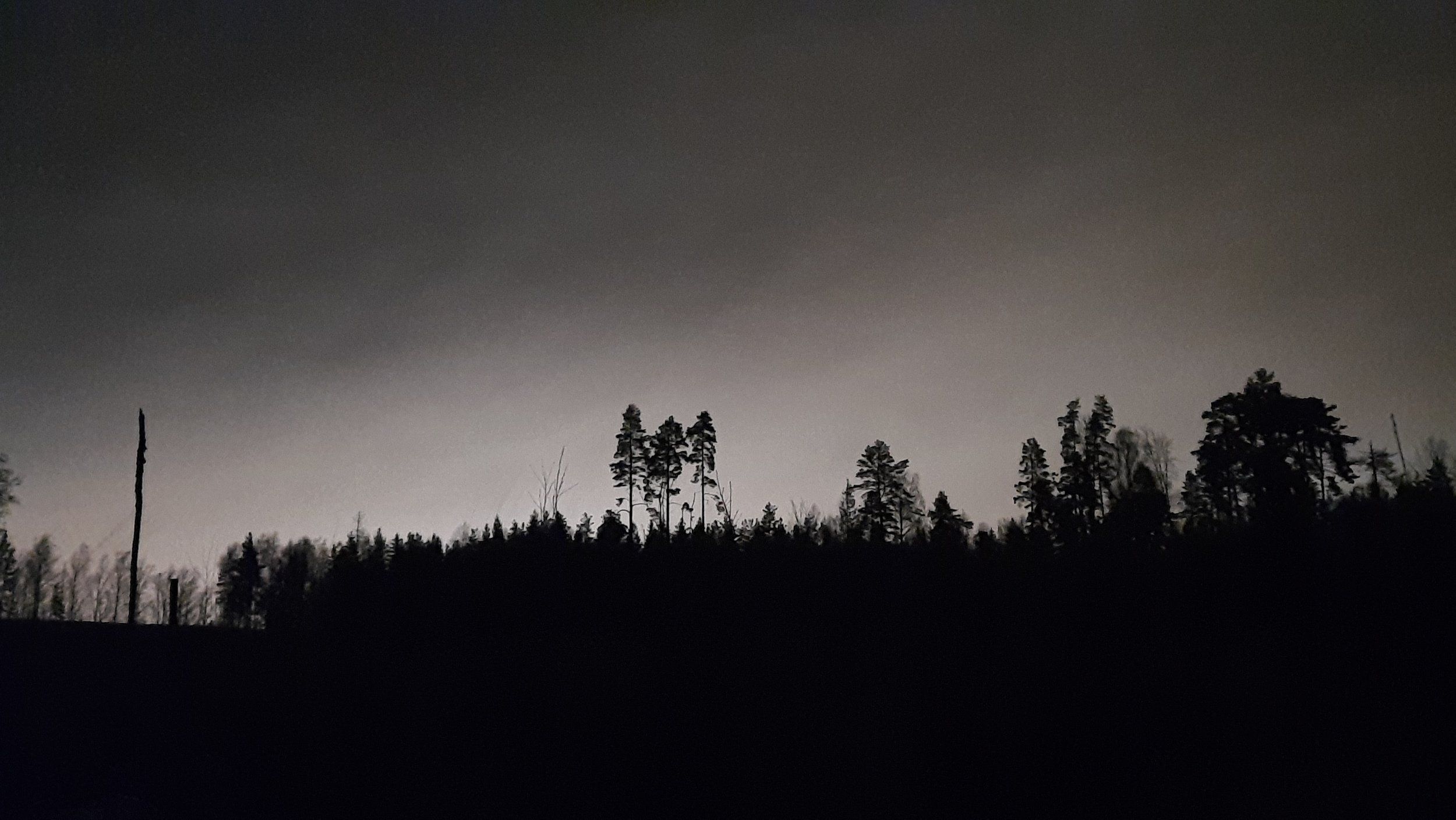 20221107_185356.jpg