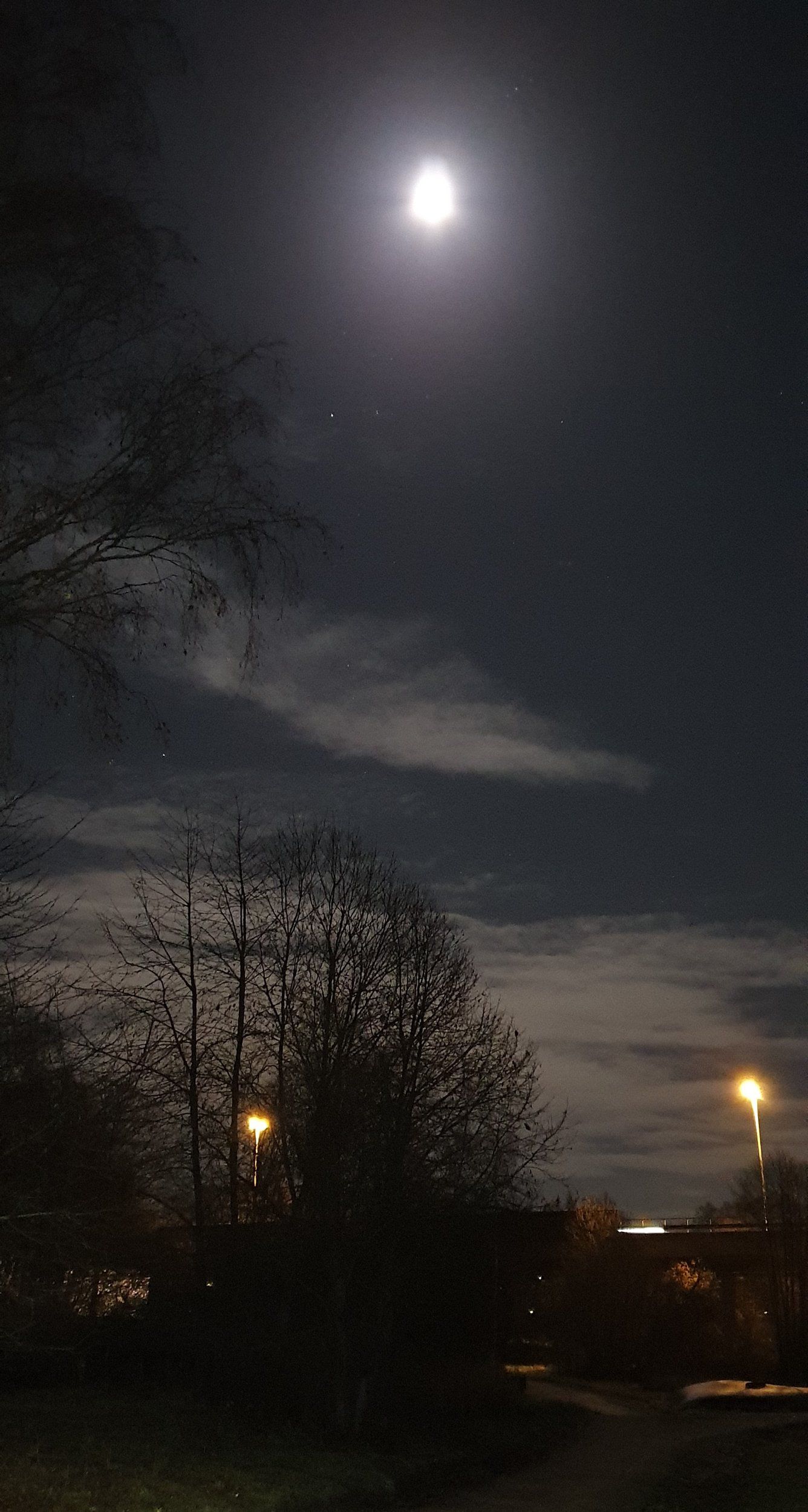 20221109_222135.jpg