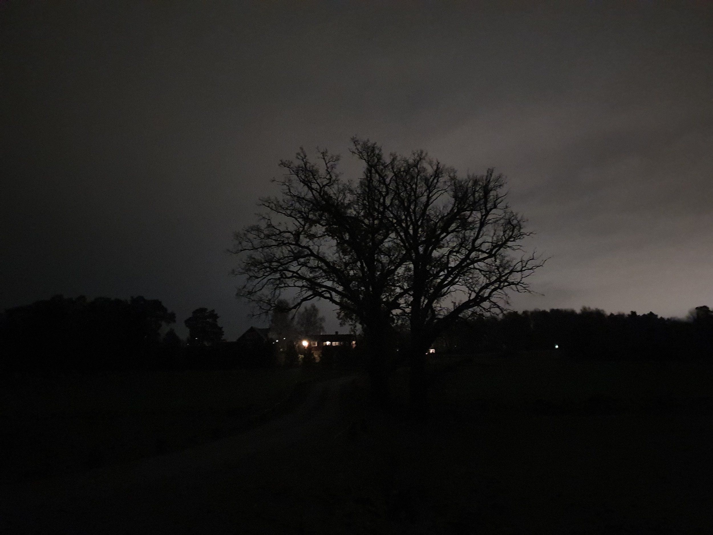 20221110_204331.jpg