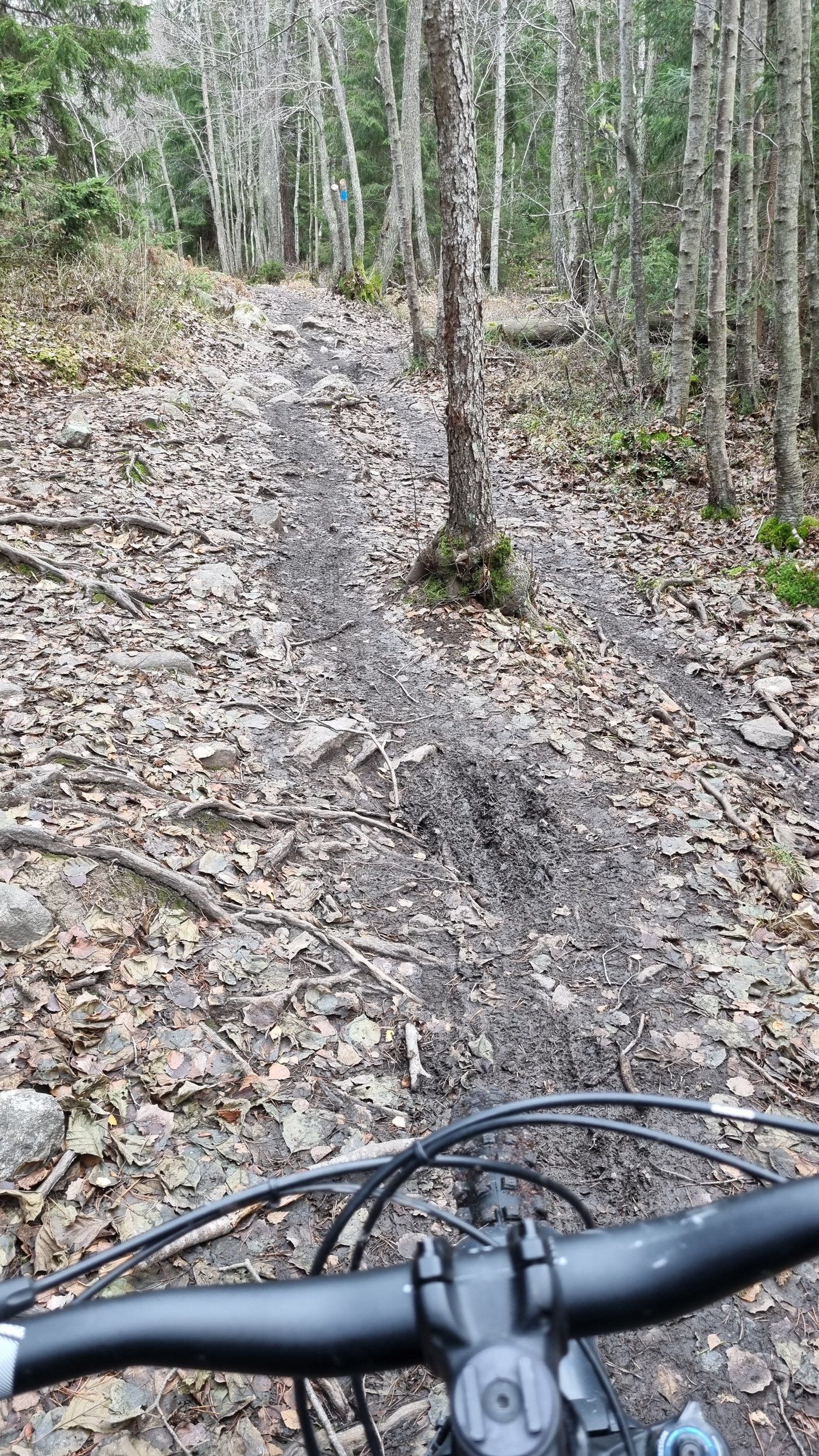 20221116_103117.jpg