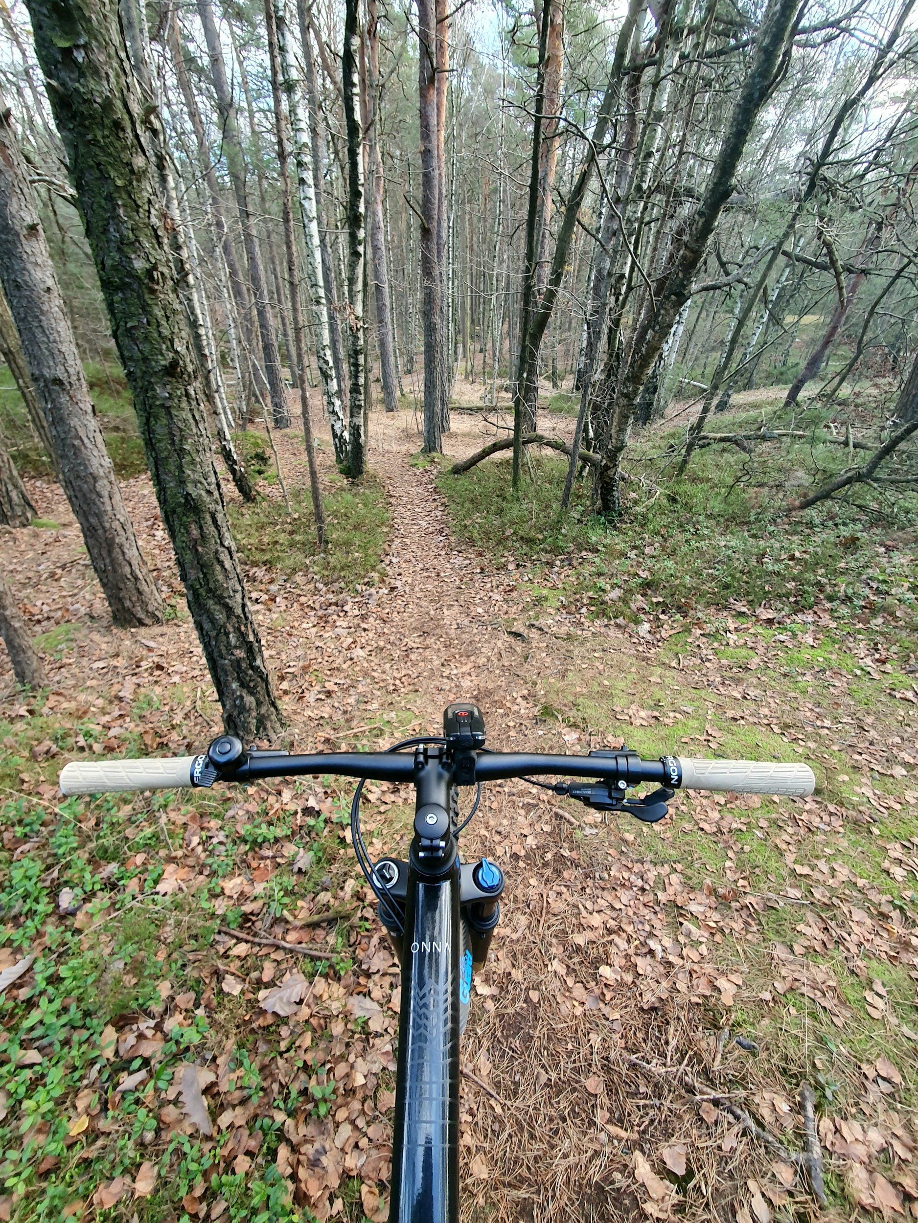 20221119_125339.jpg