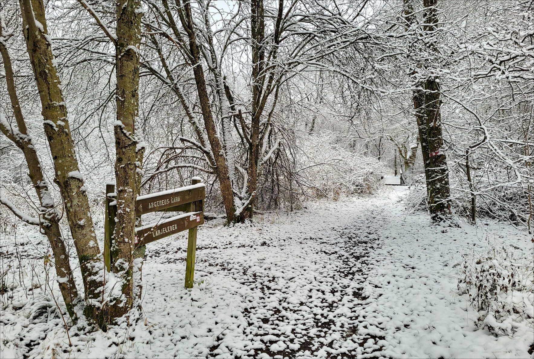 20221121_090537.jpg