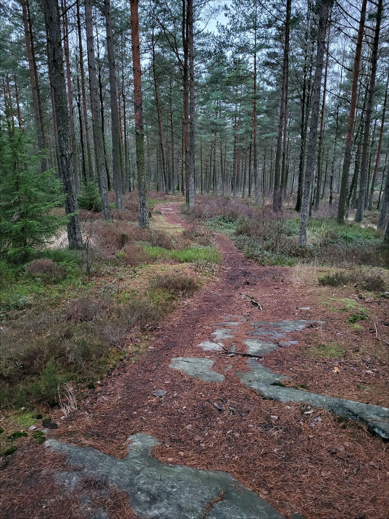 20221123_154202.jpg