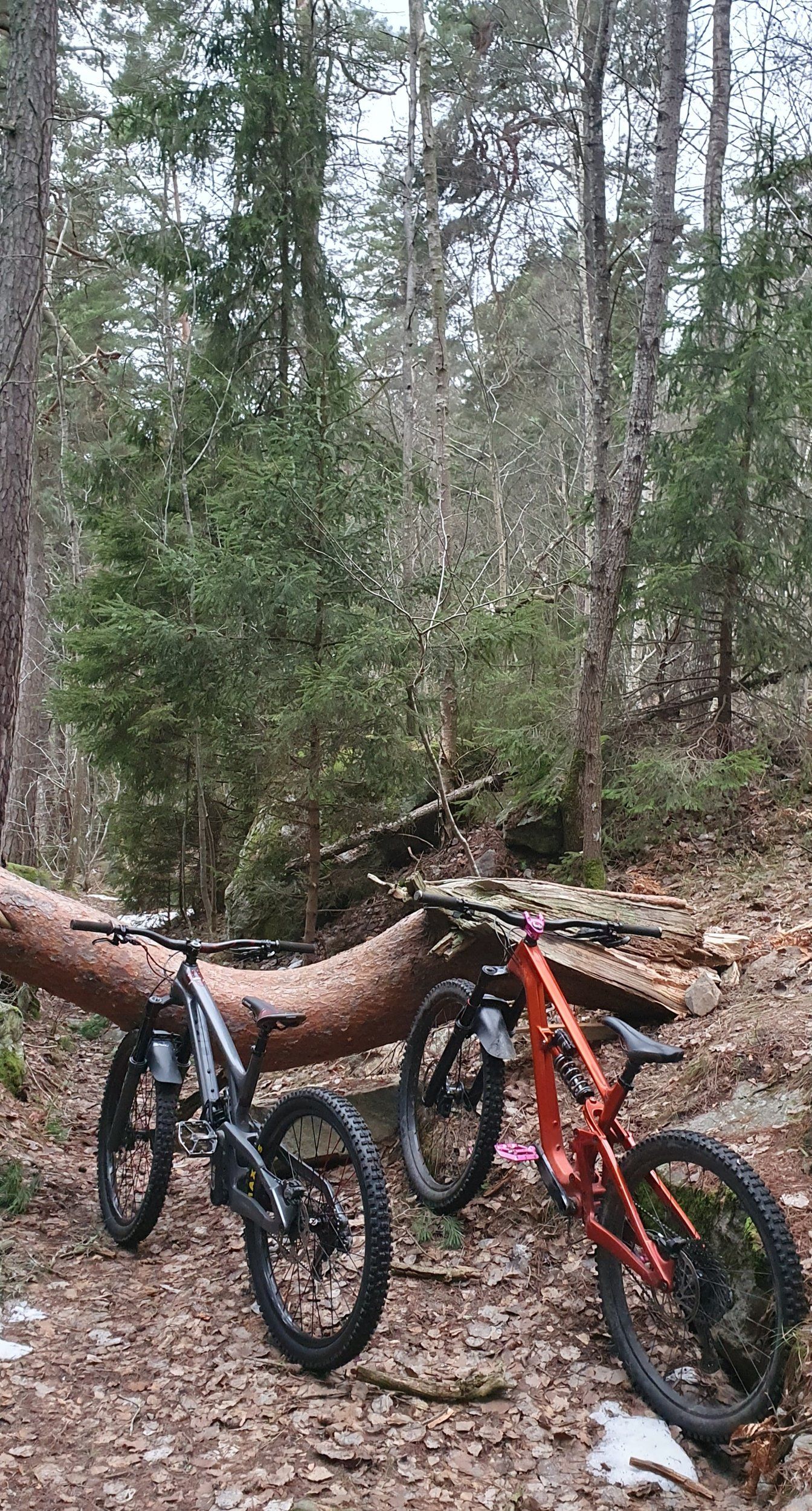20221204_133558.jpg