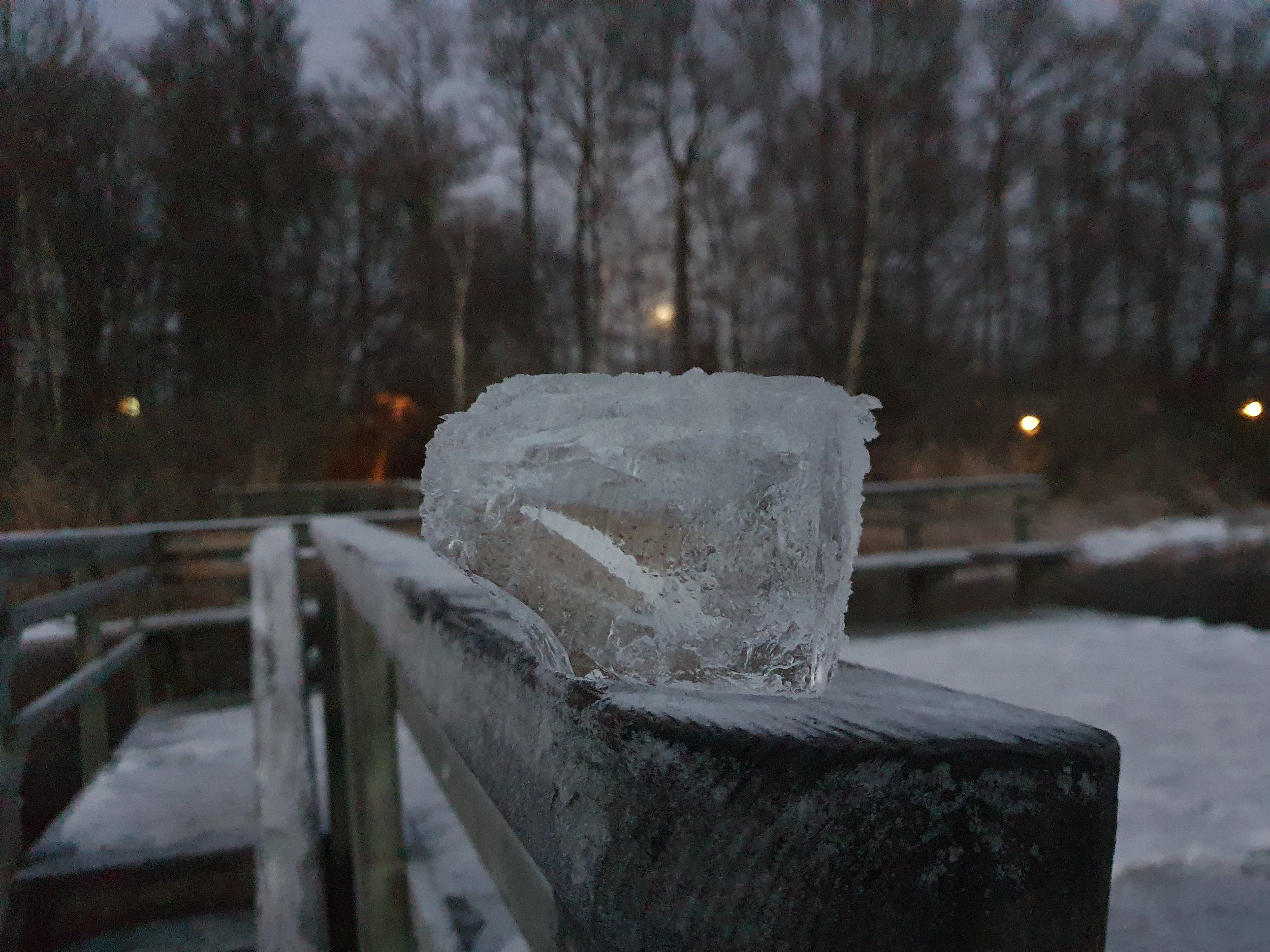 20221207_154653.jpg