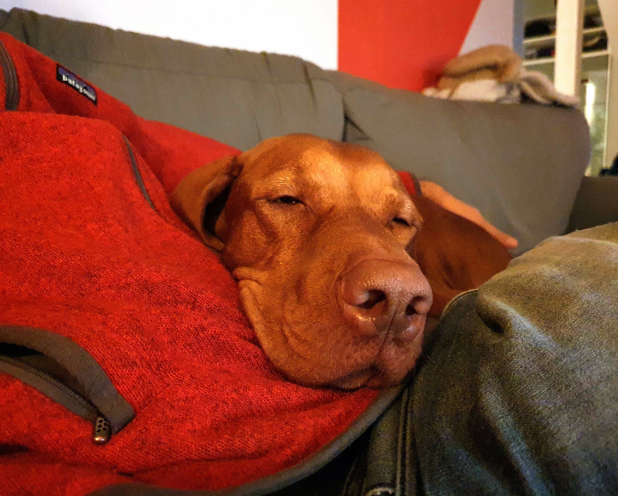 20221207_221501.jpg