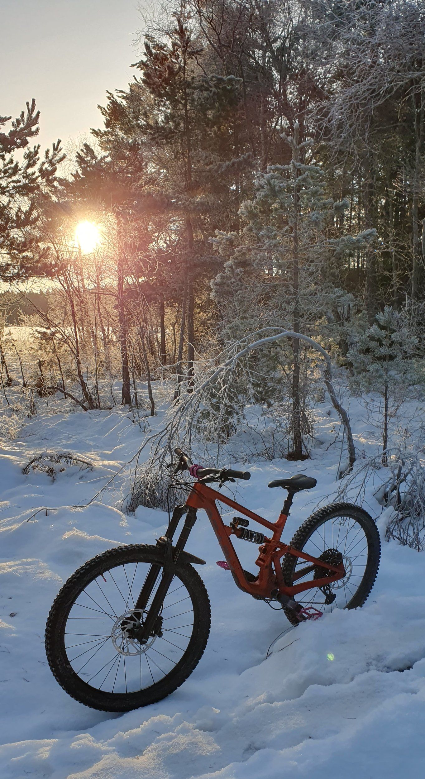 20221208_102729.jpg