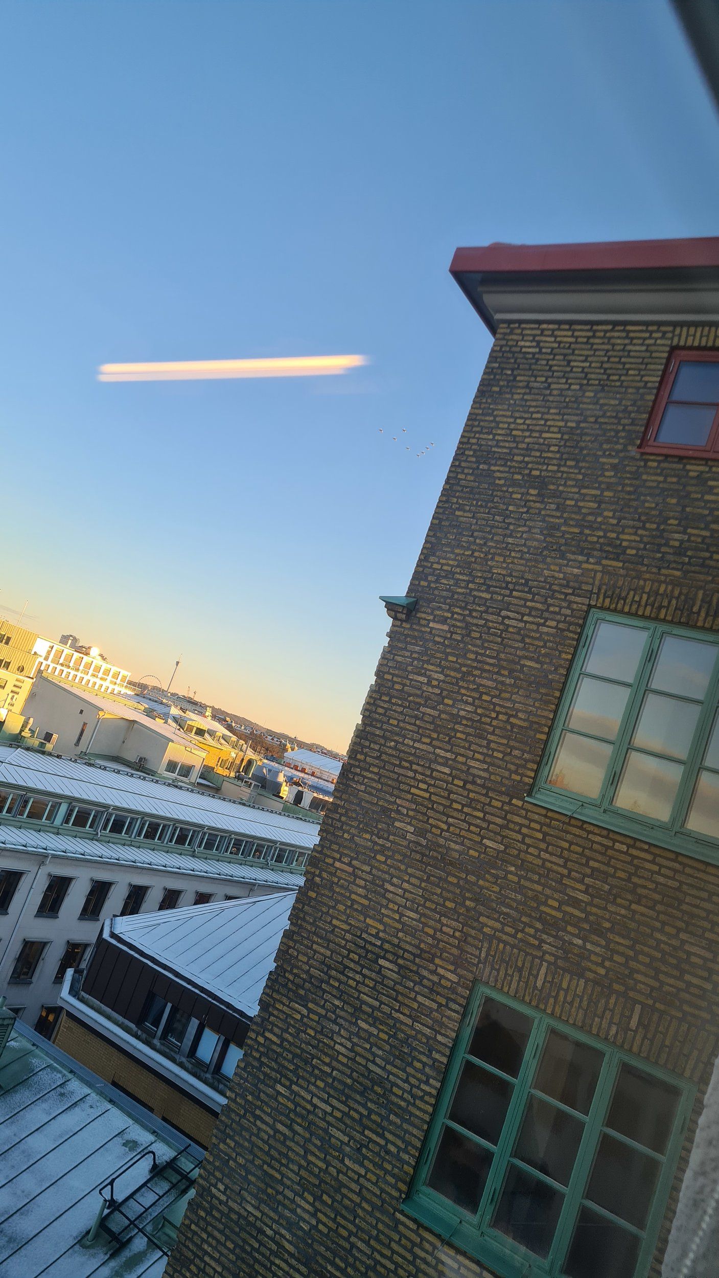 20221213_142034.jpg