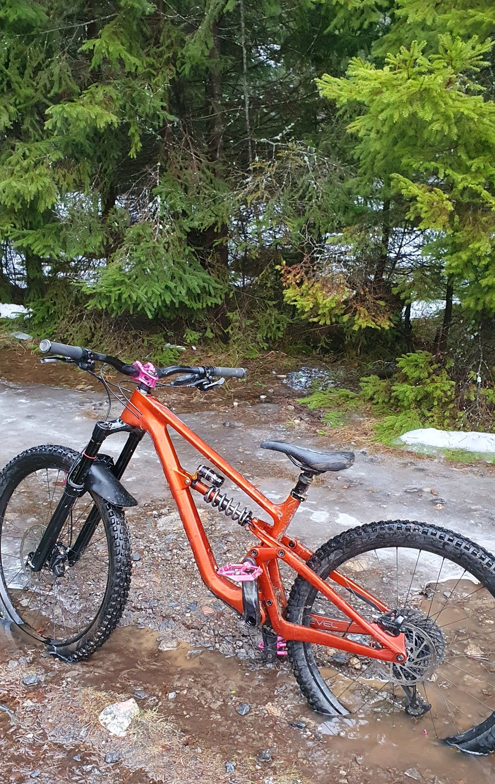 20221230_094749.jpg