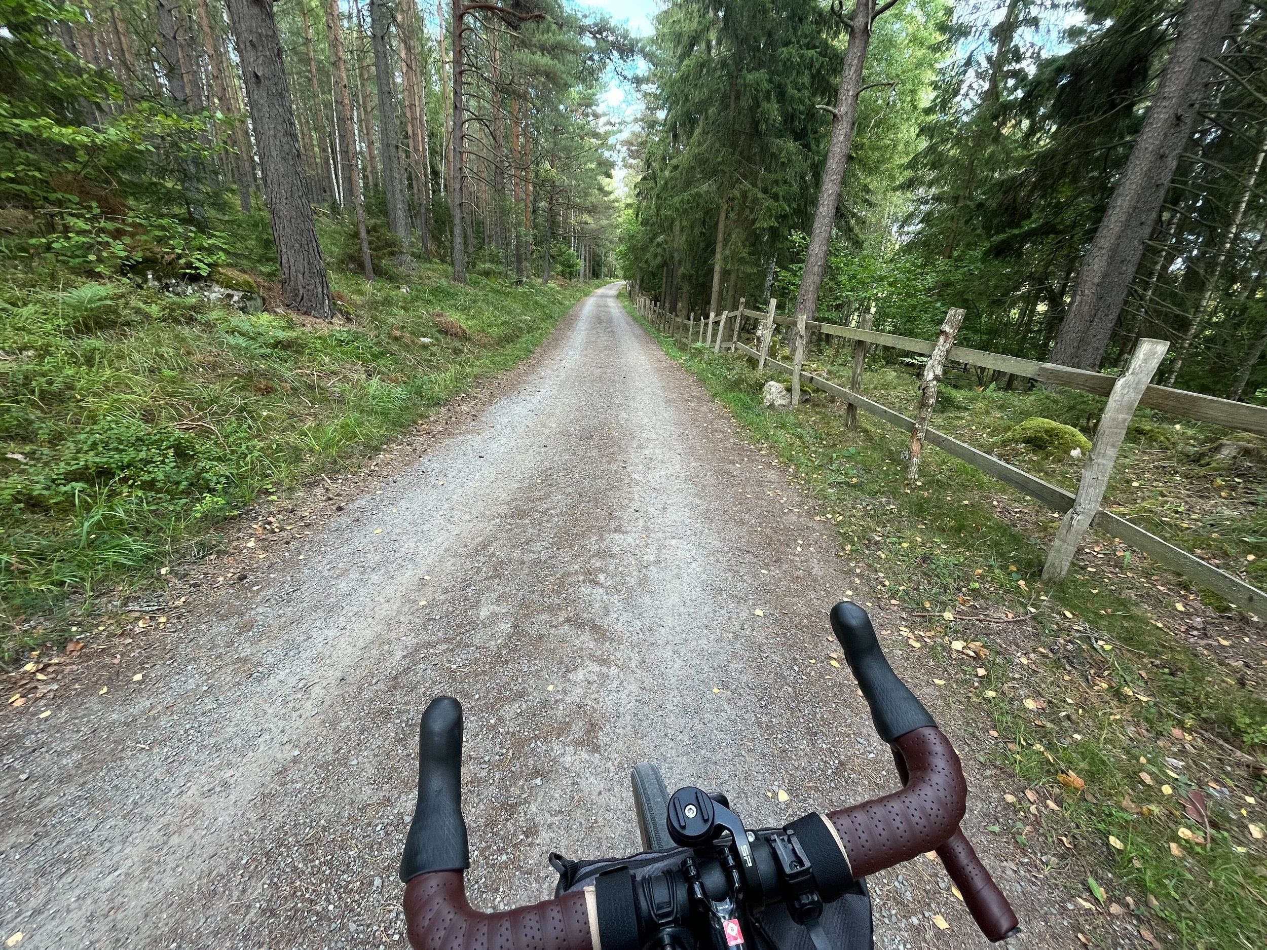 2023-09-16-3.jpg