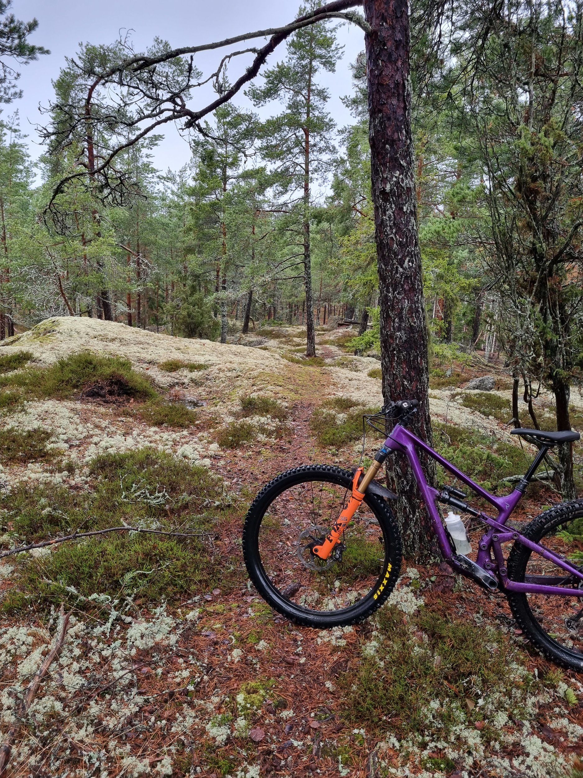 20230110_104339.jpg