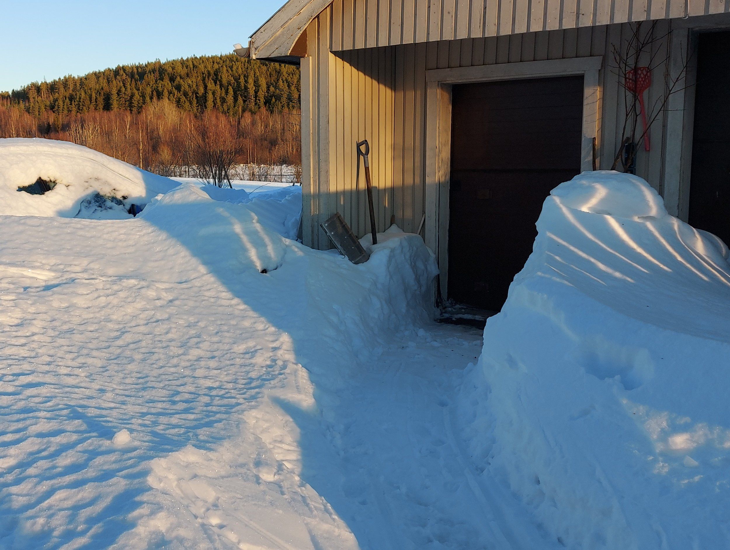 20230113_122935.jpg