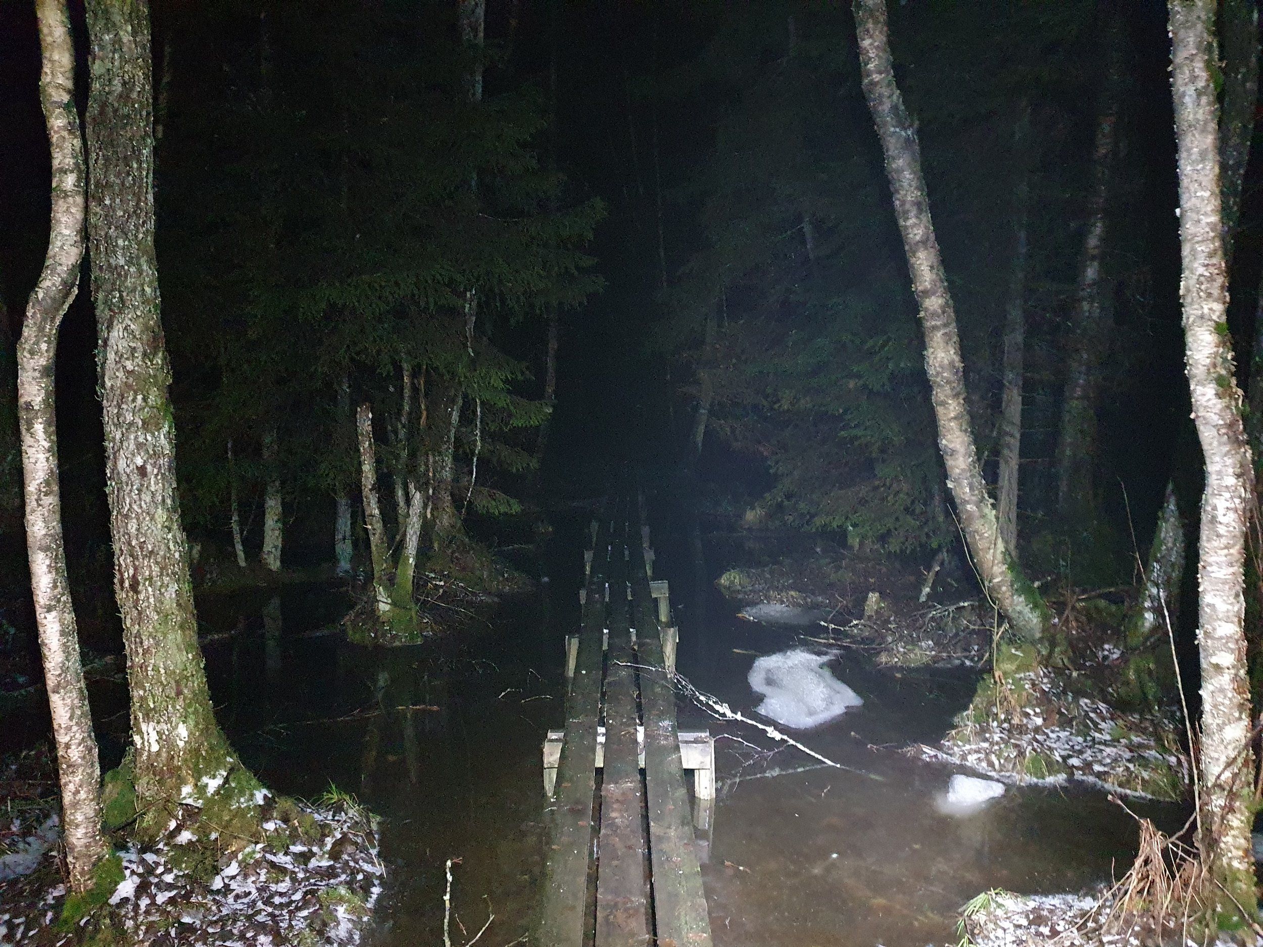 20230124_215333.jpg