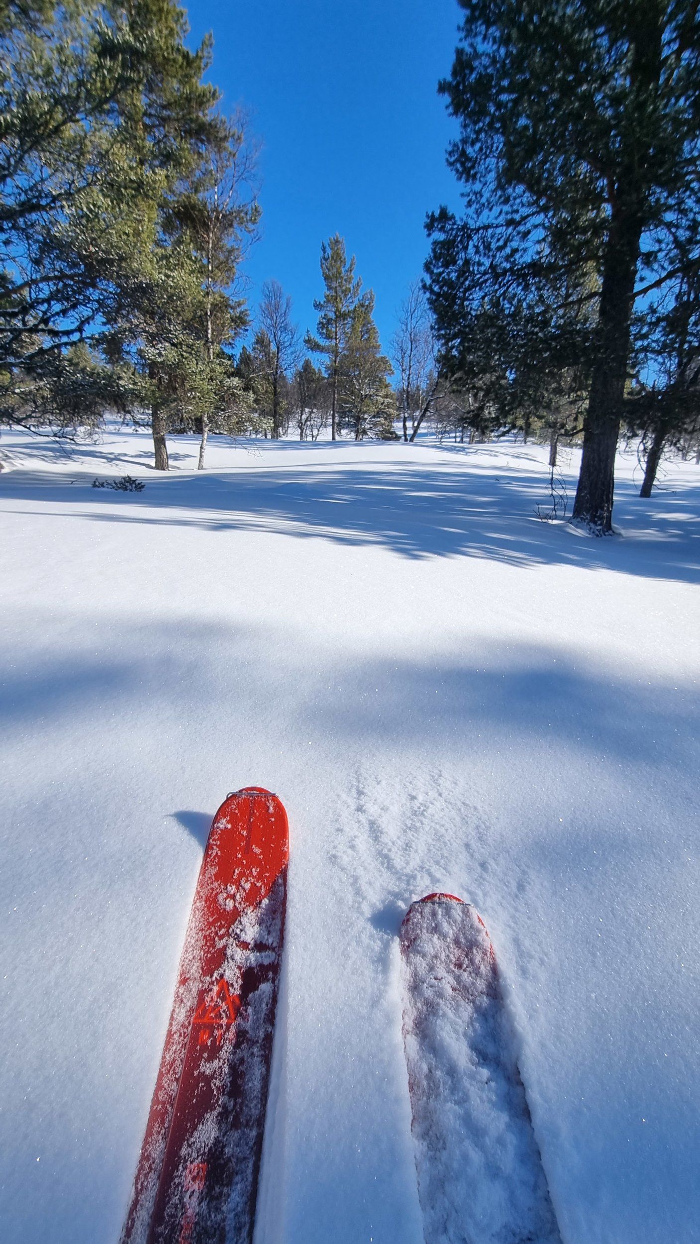 20230310_102755.jpg