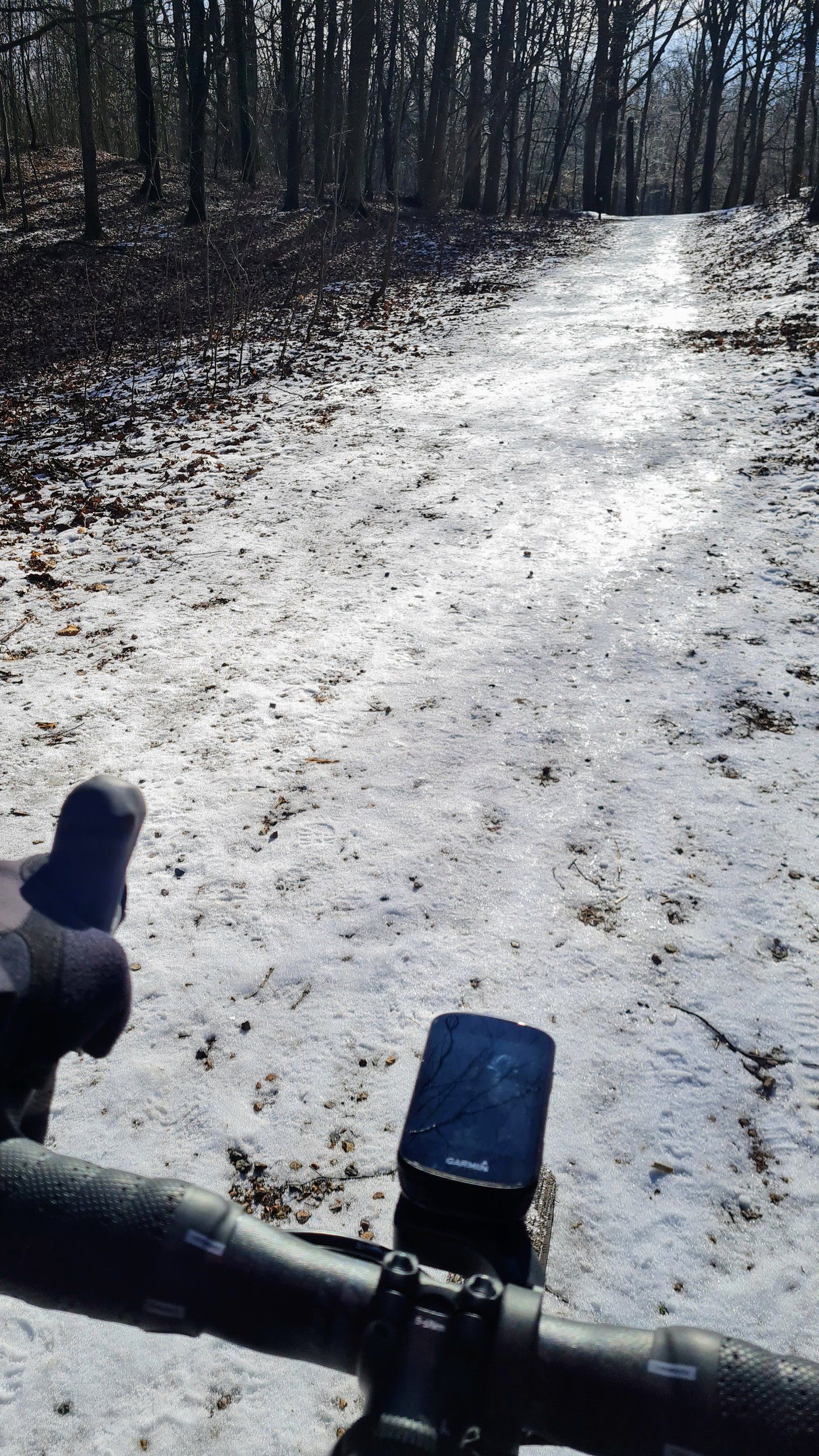 20230312_104319.jpg