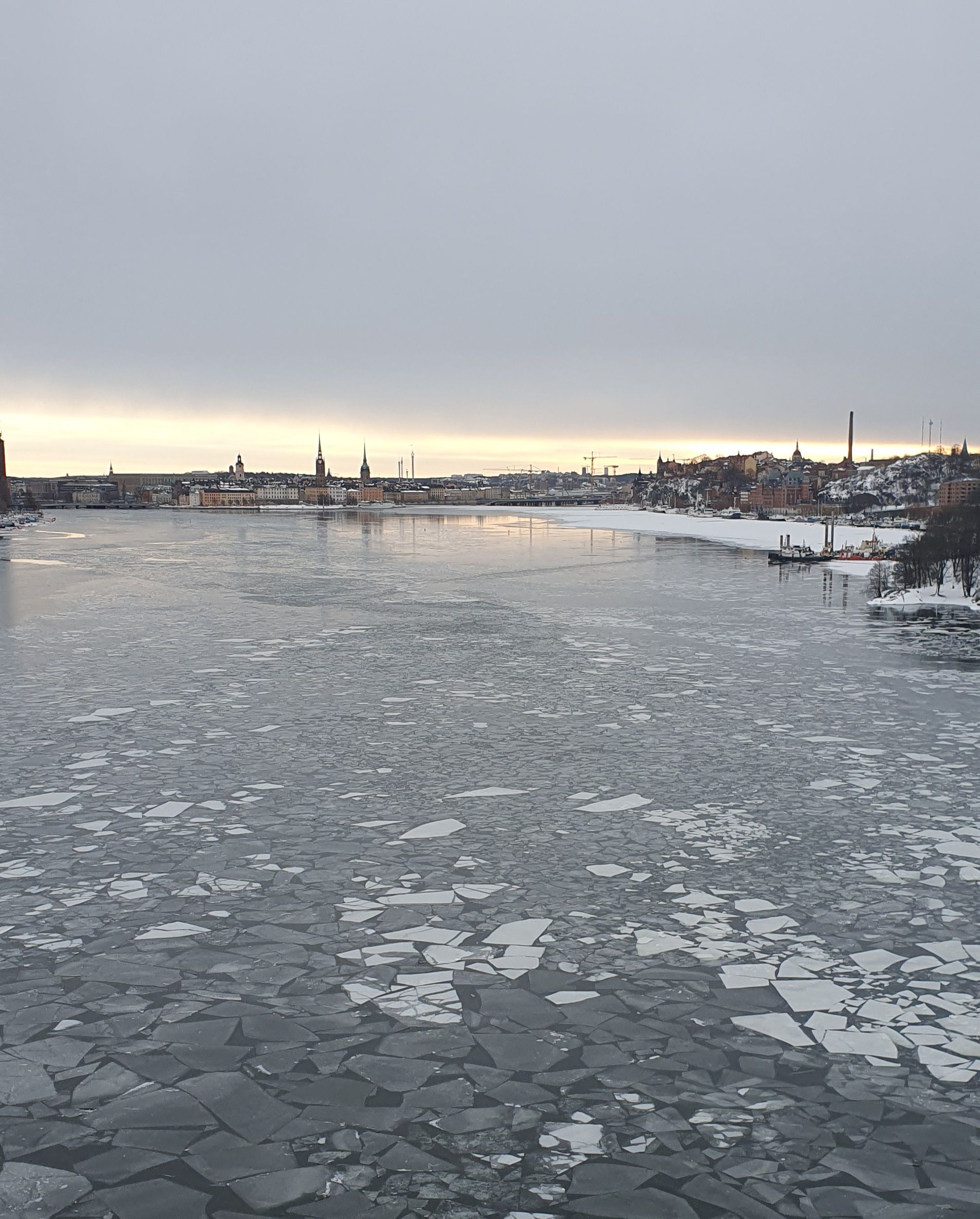 20230313_072149.jpg