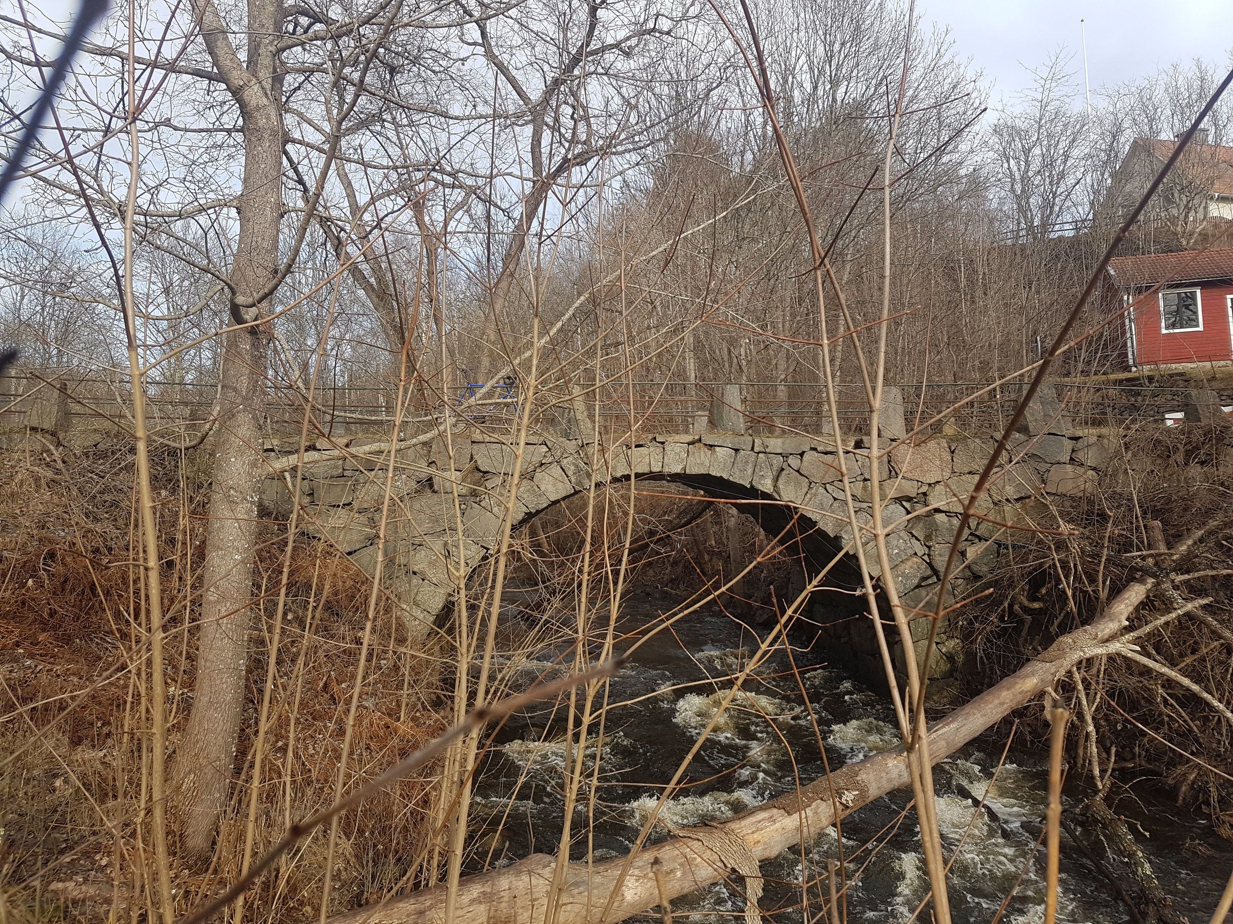20230323_090348.jpg