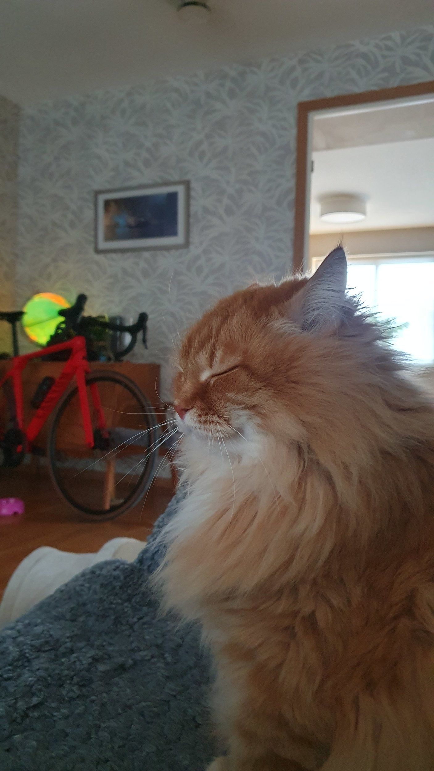 20230407_180917.jpg