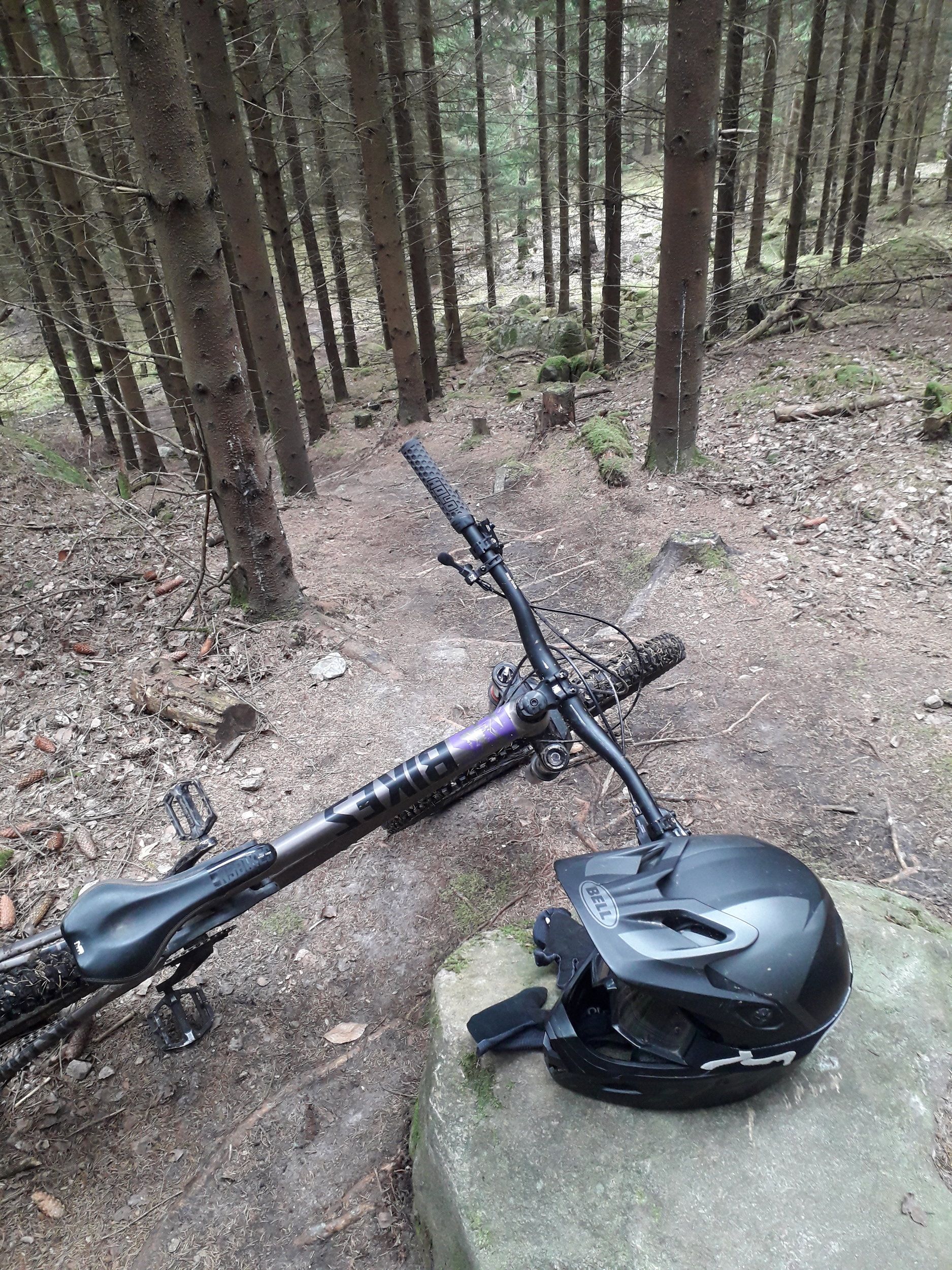 20230411_091242.jpg