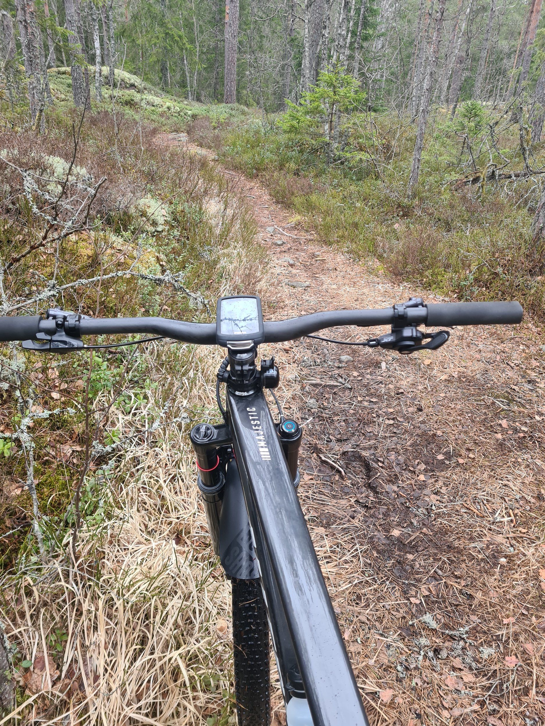20230414_131604.jpg