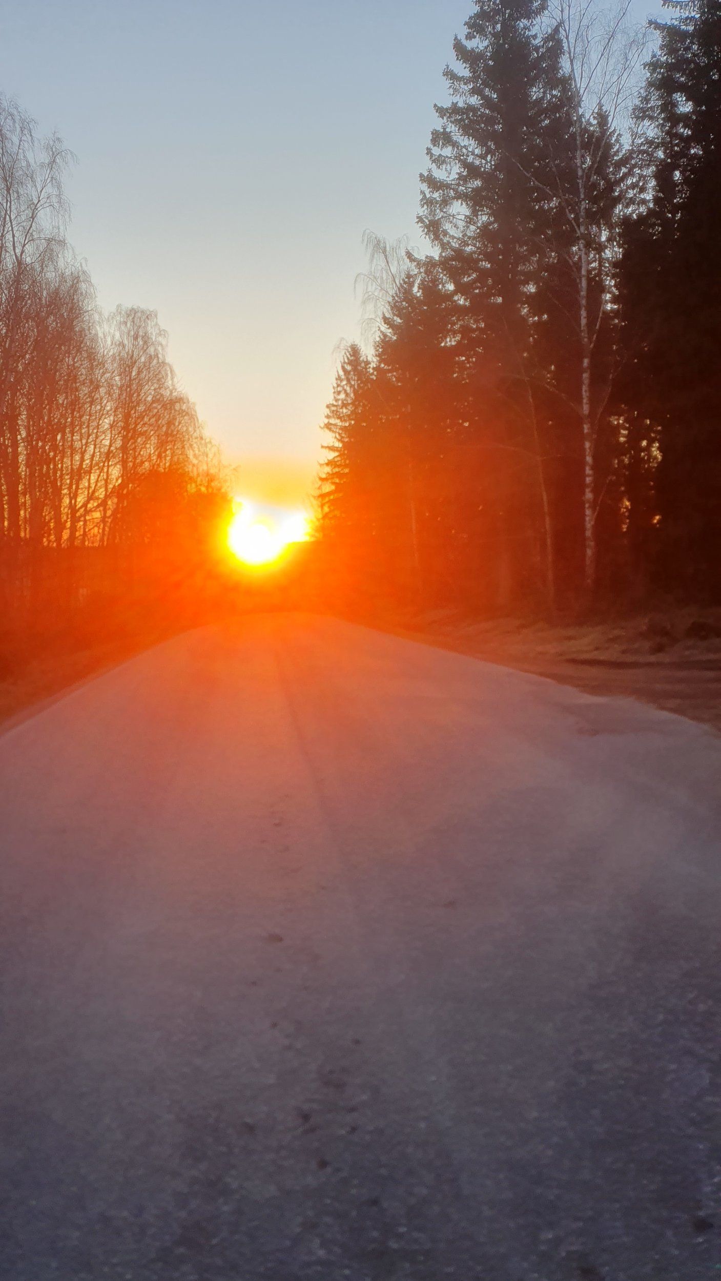 20230420_054004.jpg