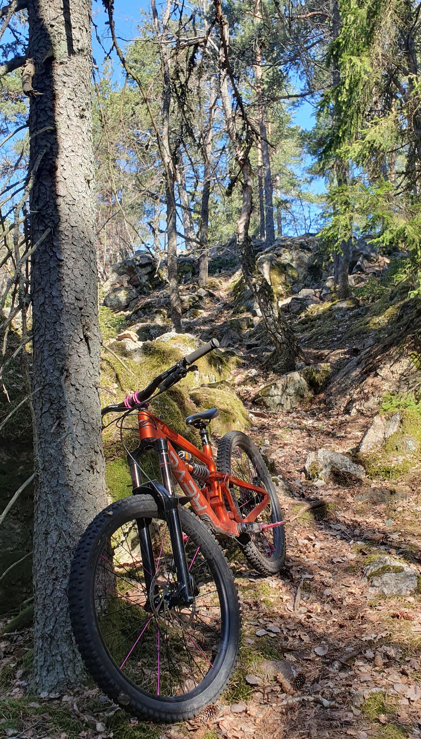 20230421_095944.jpg