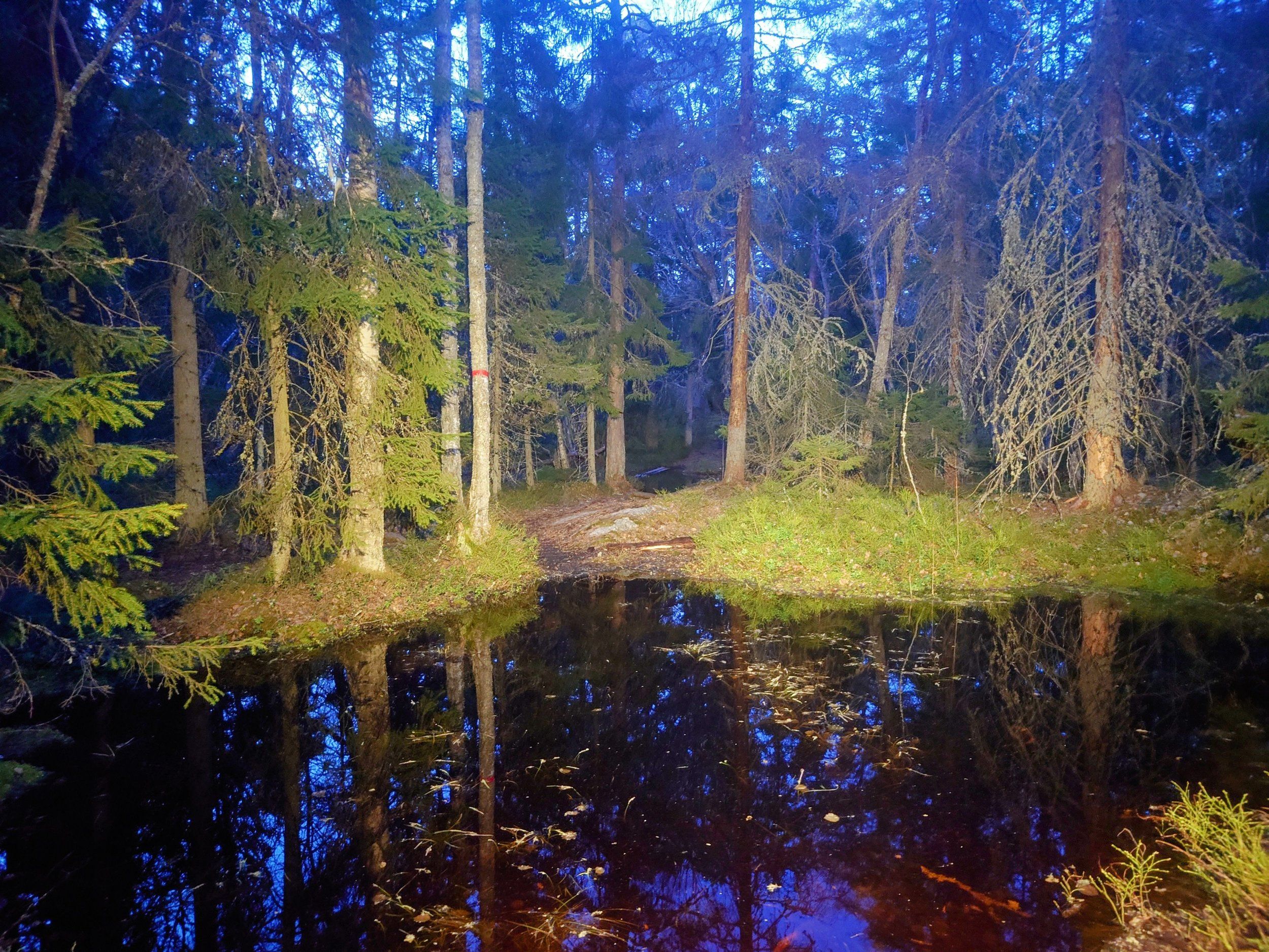 20230504_213242~2.JPG